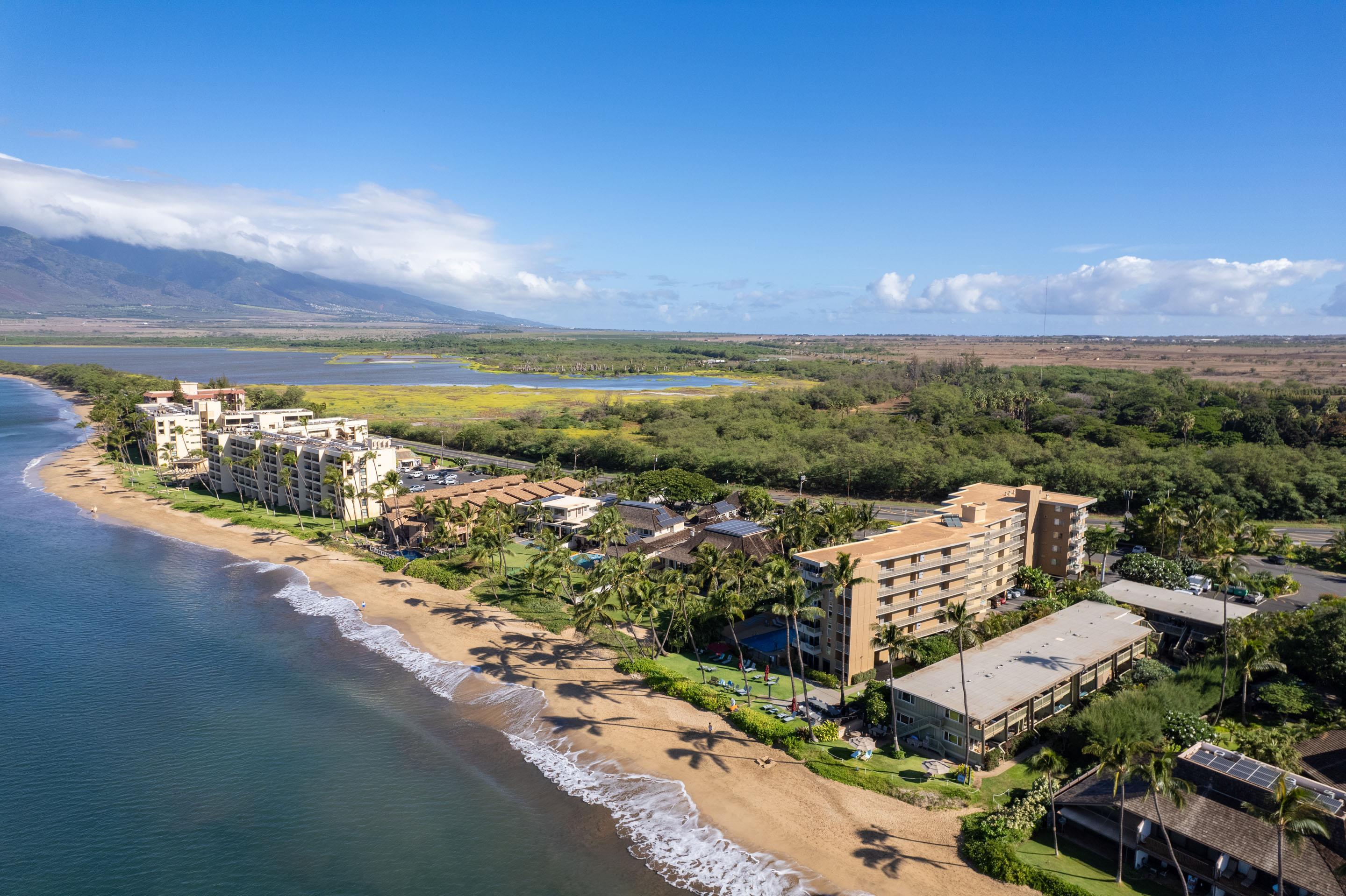 Nani Kai Hale condo # 305, Kihei, Hawaii - photo 34 of 34