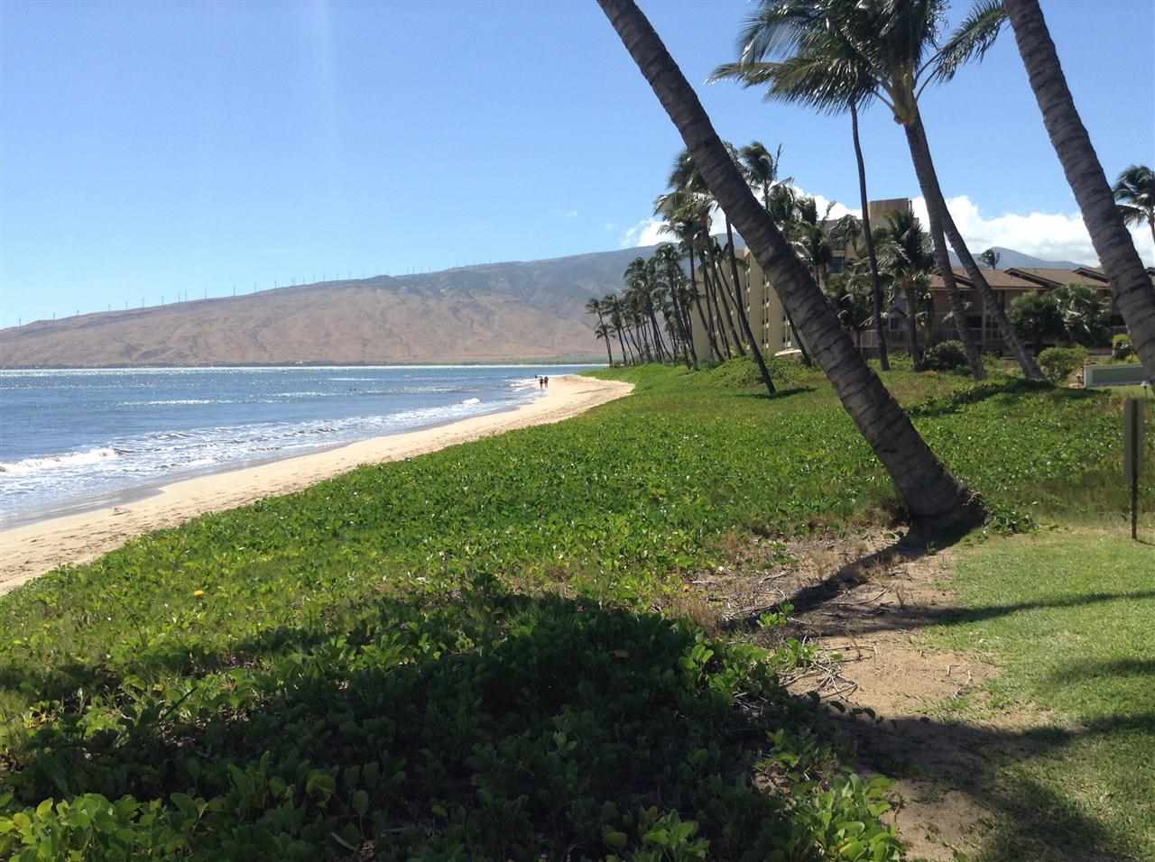Nani Kai Hale condo # 307, Kihei, Hawaii - photo 3 of 17