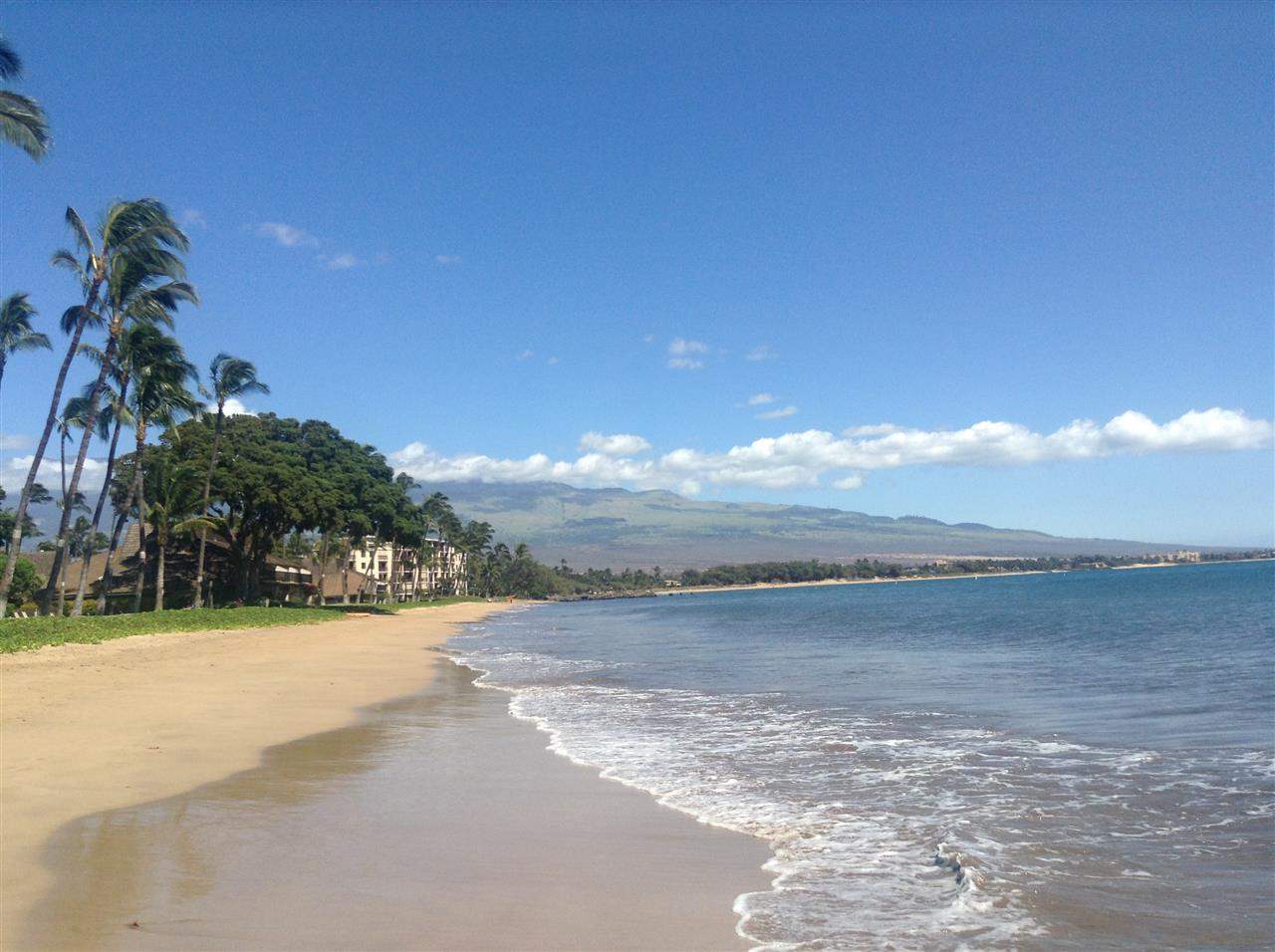 Nani Kai Hale condo # 307, Kihei, Hawaii - photo 4 of 17