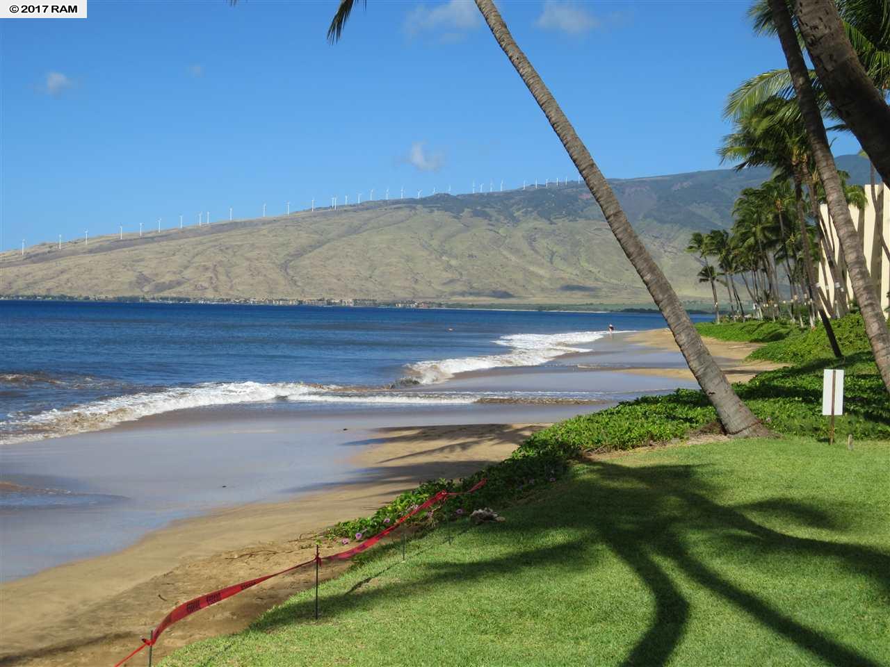 Nani Kai Hale condo # 505, Kihei, Hawaii - photo 8 of 30