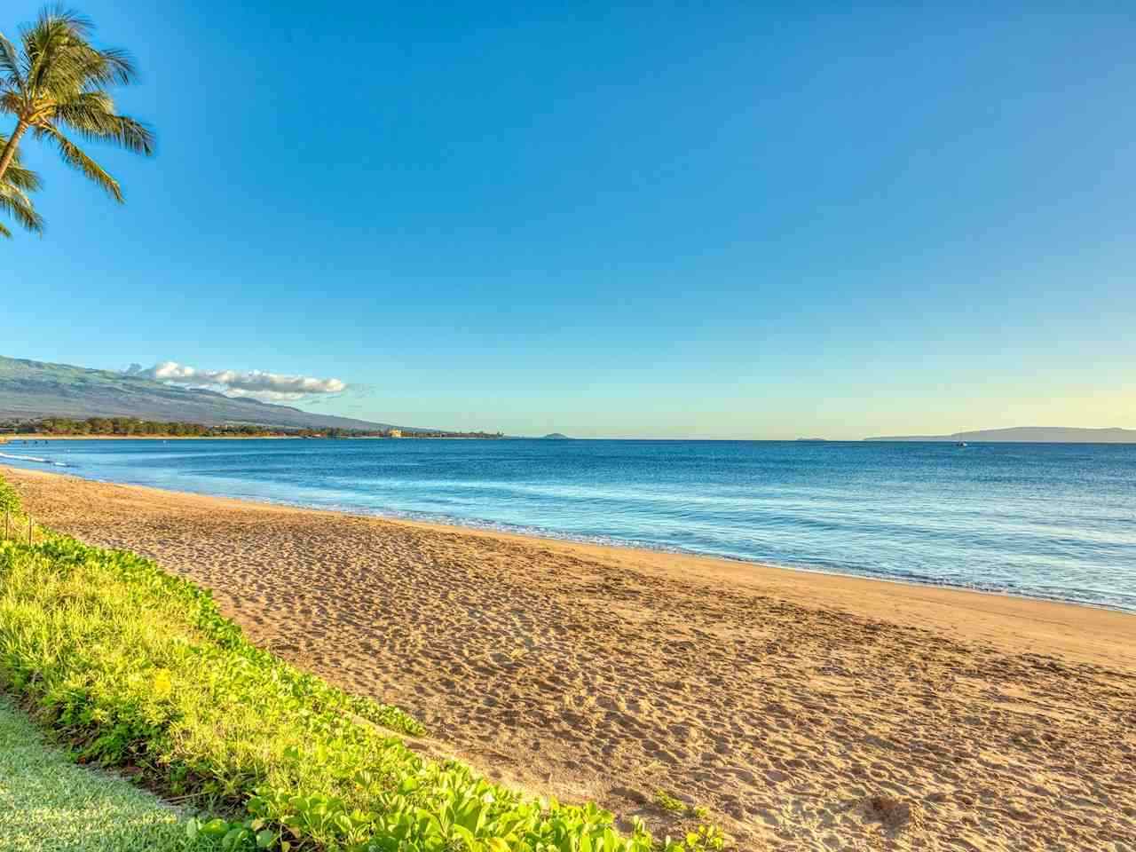 Nani Kai Hale condo # 509, Kihei, Hawaii - photo 29 of 29