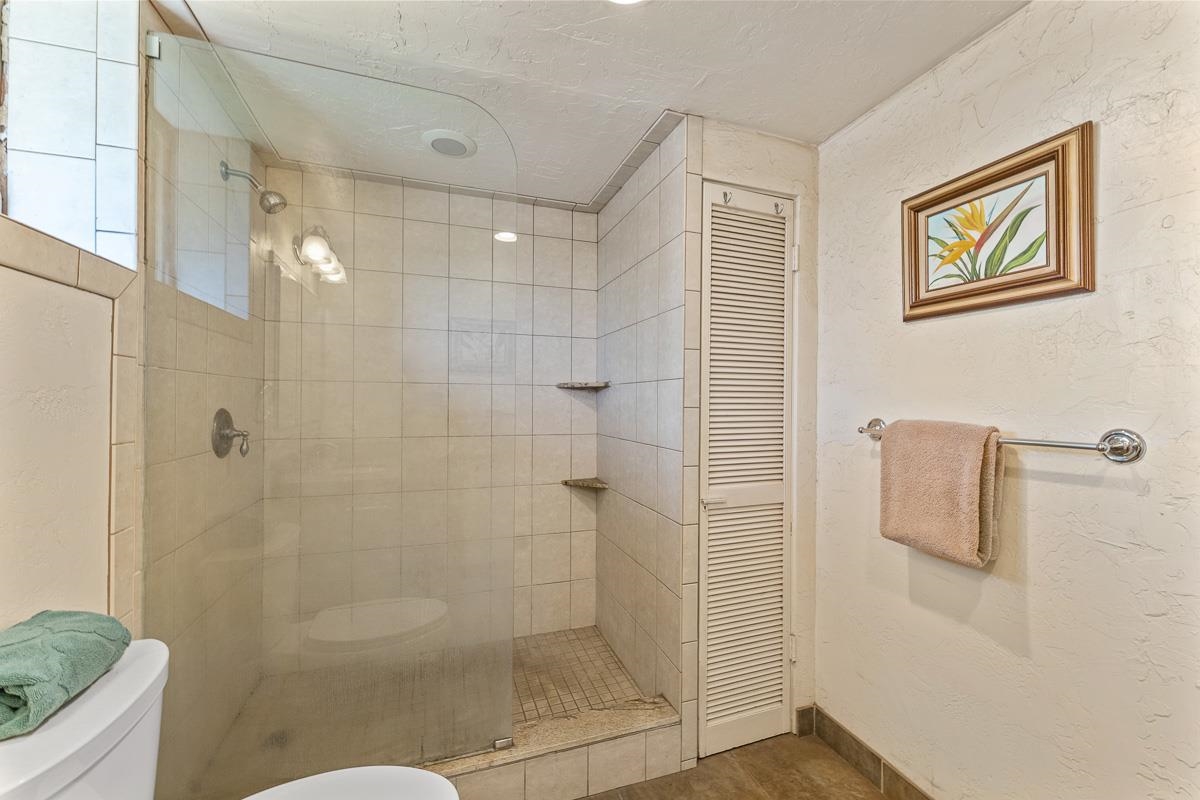 Nani Kai Hale condo # 602, Kihei, Hawaii - photo 39 of 47