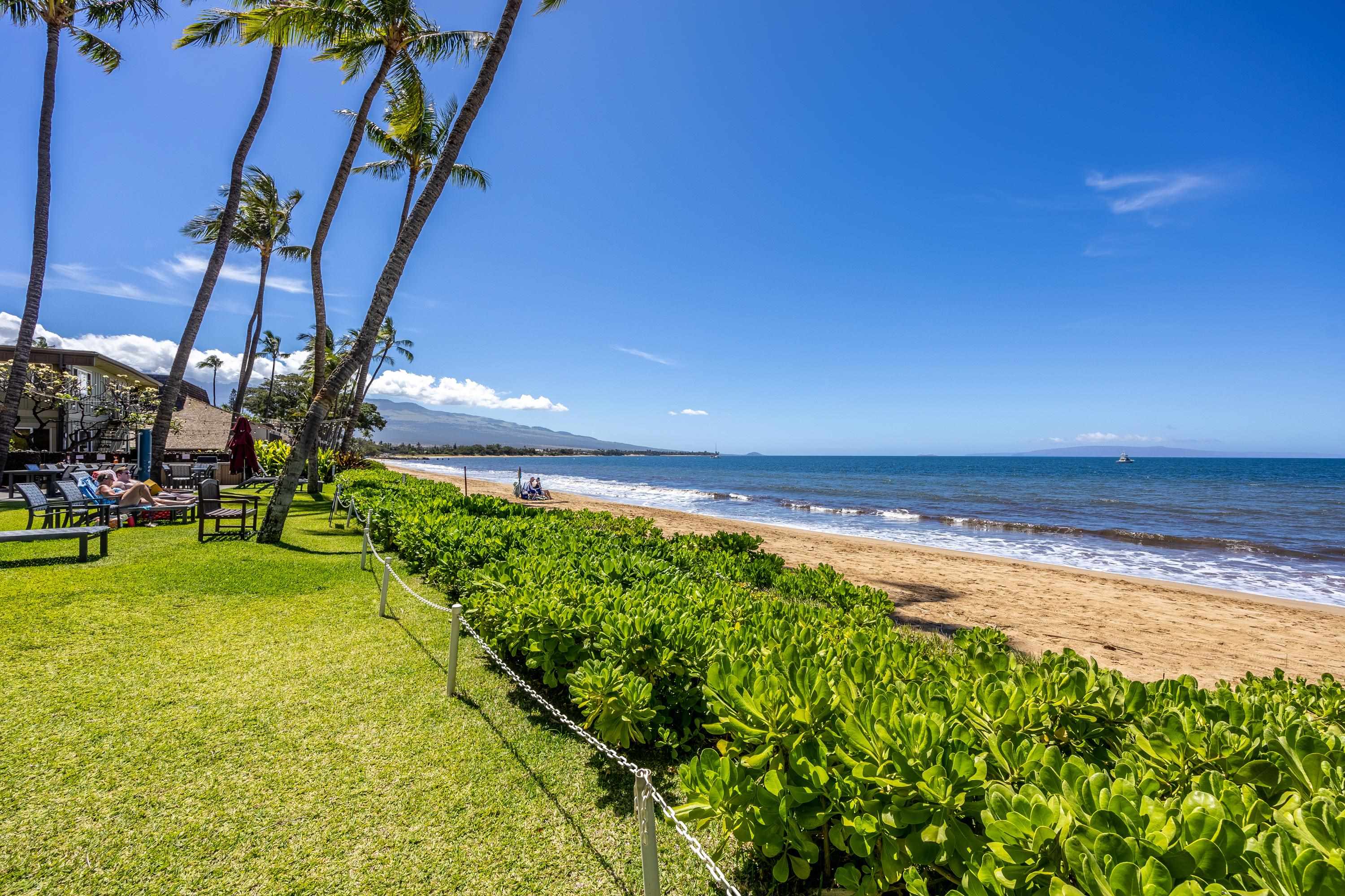 Nani Kai Hale condo # 604, Kihei, Hawaii - photo 6 of 50