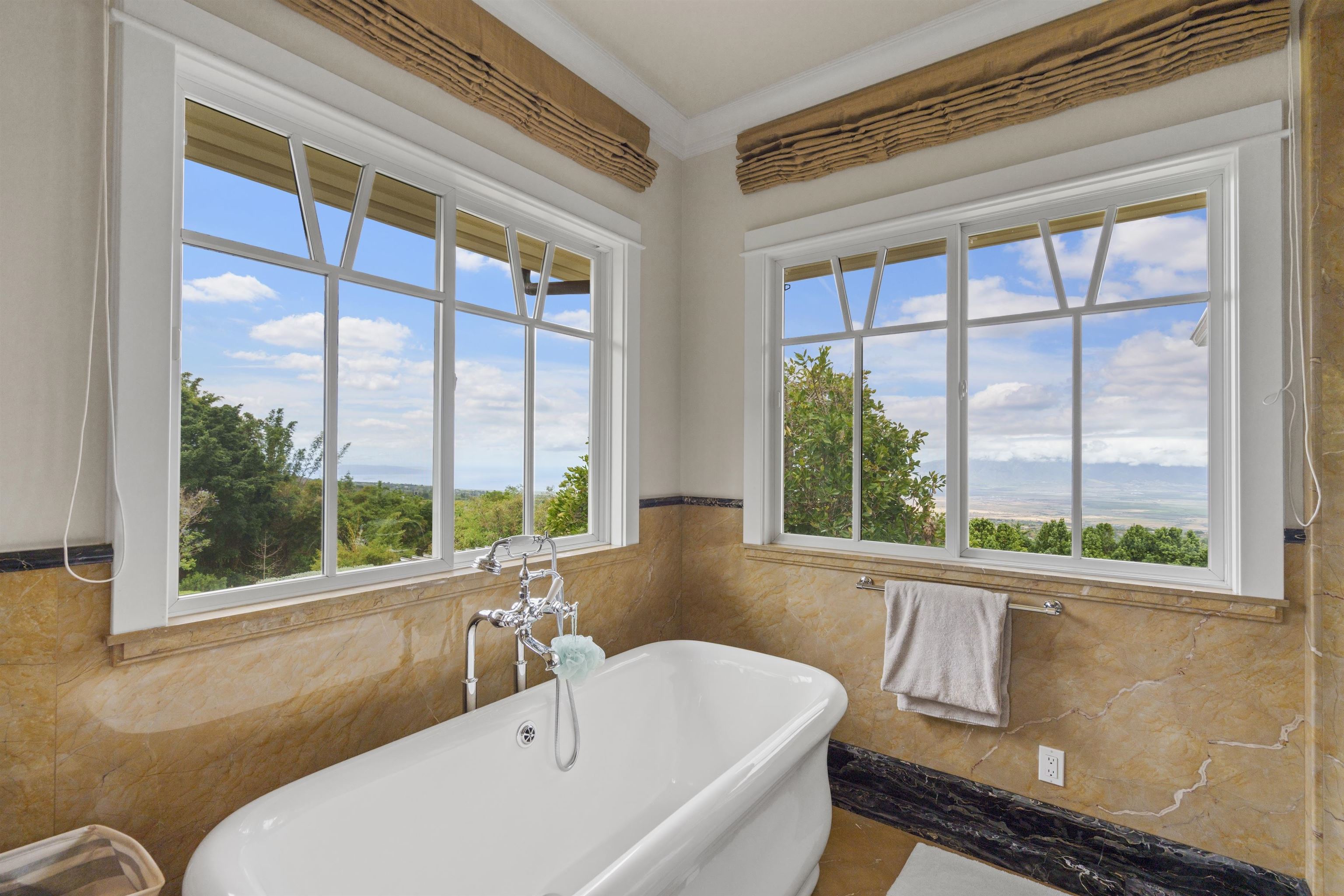 730  Lower Kimo Dr , Kula/Ulupalakua/Kanaio home - photo 30 of 40