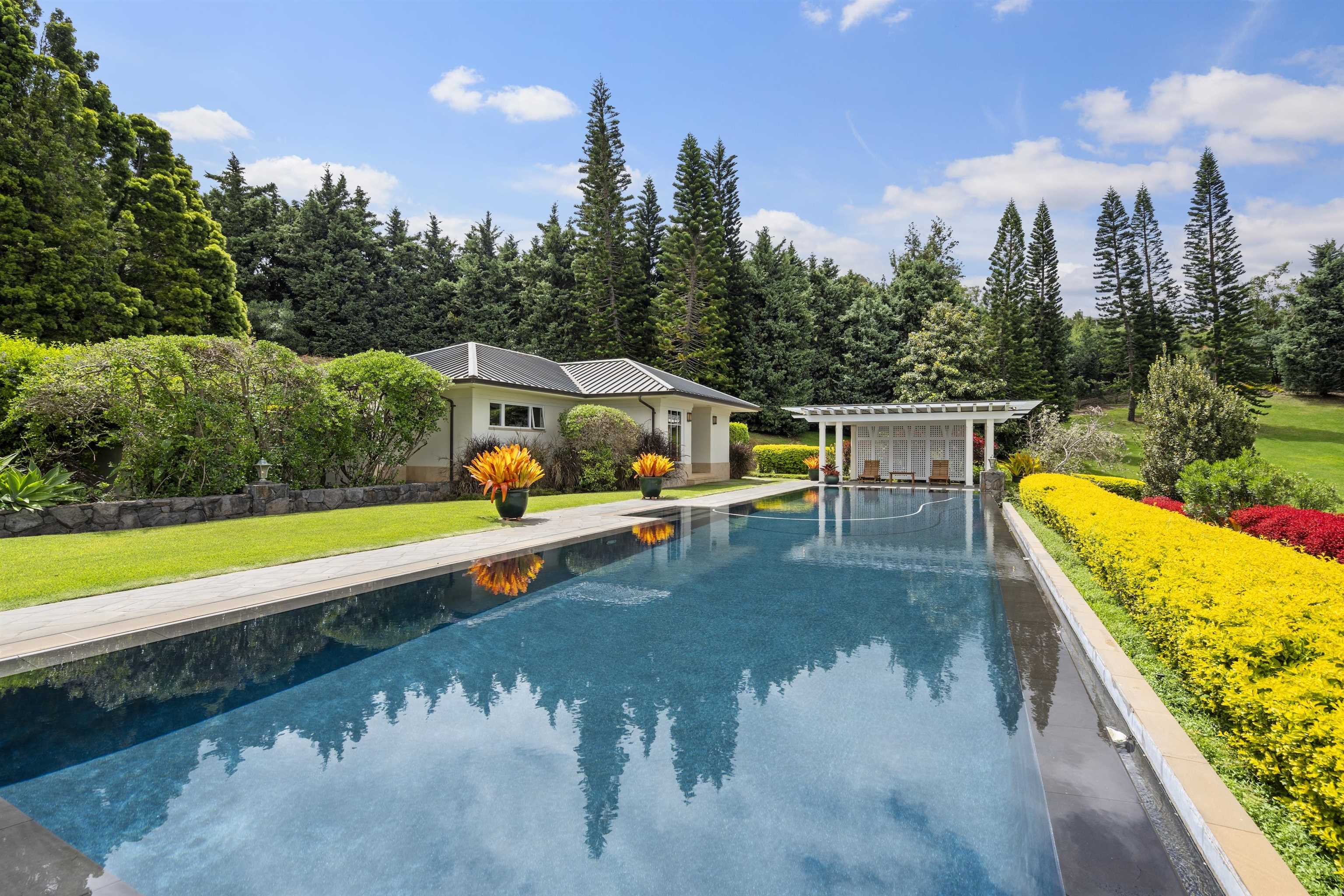 730  Lower Kimo Dr , Kula/Ulupalakua/Kanaio home - photo 8 of 40