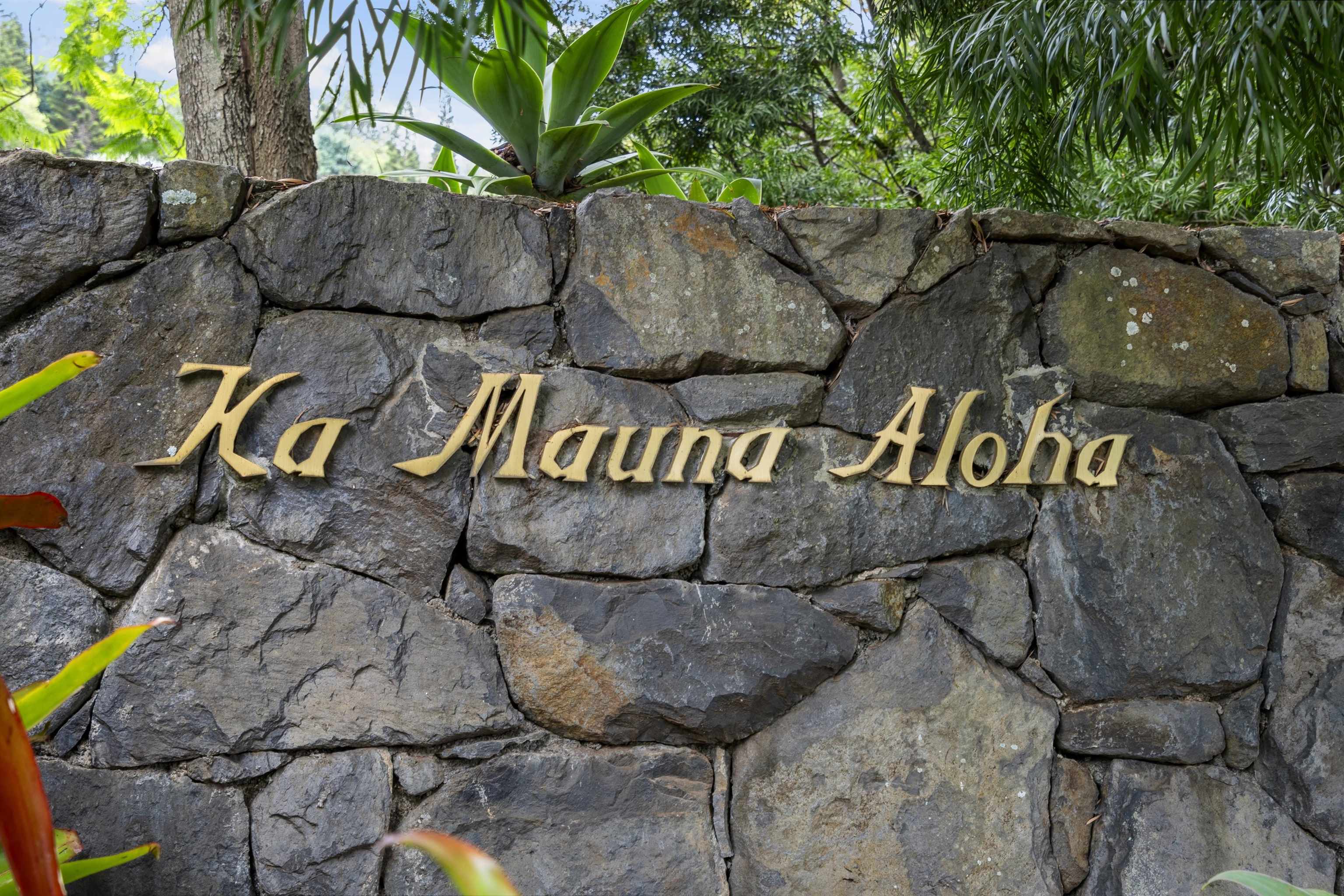 730  Lower Kimo Dr , Kula/Ulupalakua/Kanaio home - photo 9 of 40