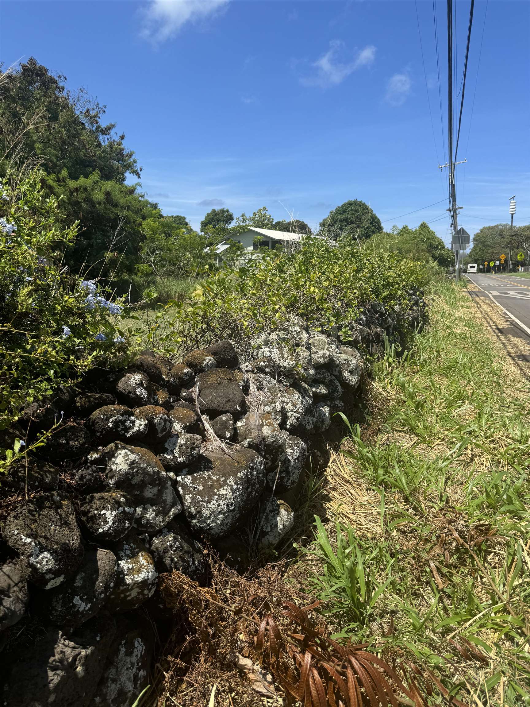 7308  Kamehameha V Hwy Ualapue, Molokai home - photo 14 of 18