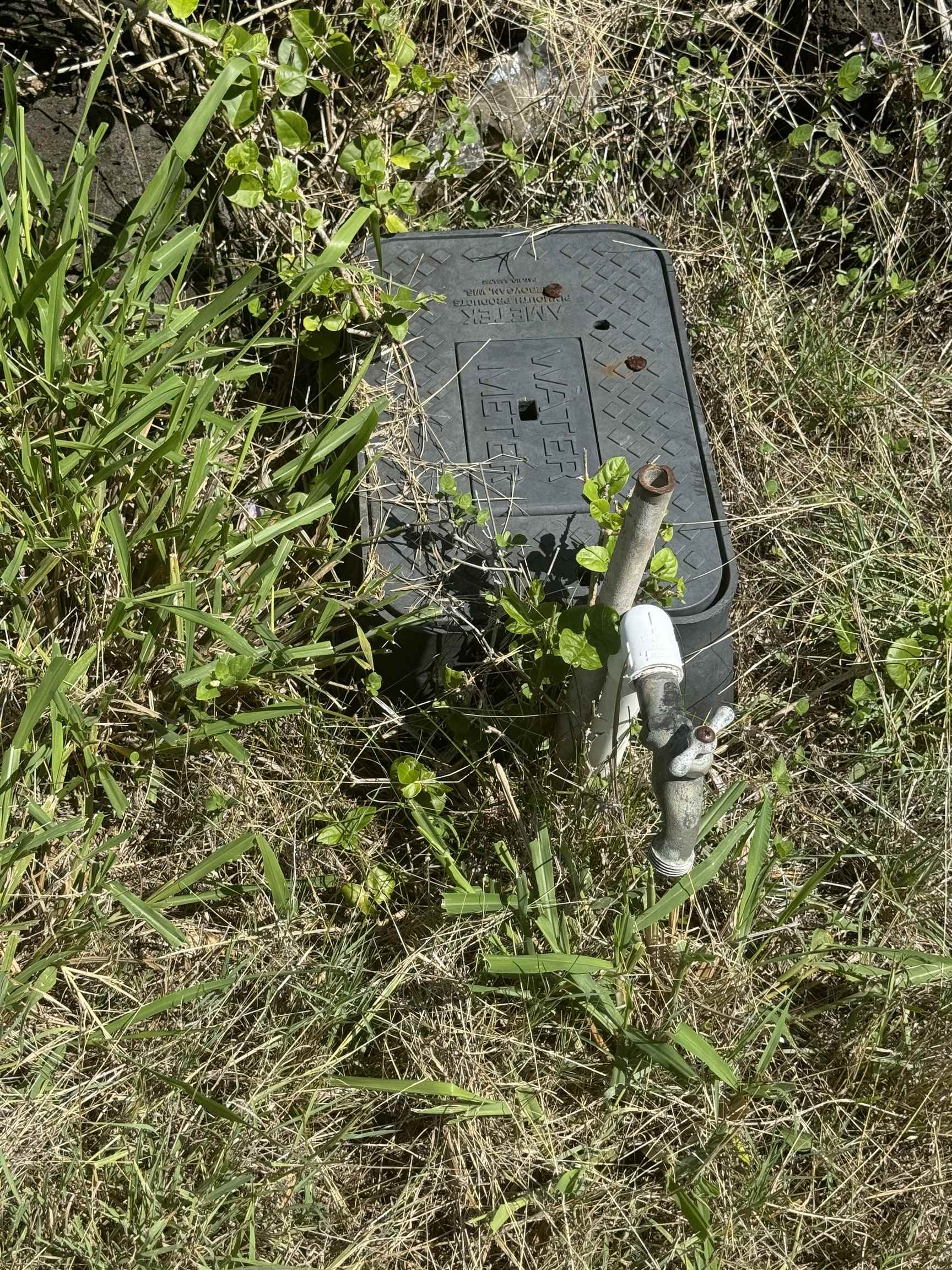 7308  Kamehameha V Hwy Ualapue, Molokai home - photo 15 of 18
