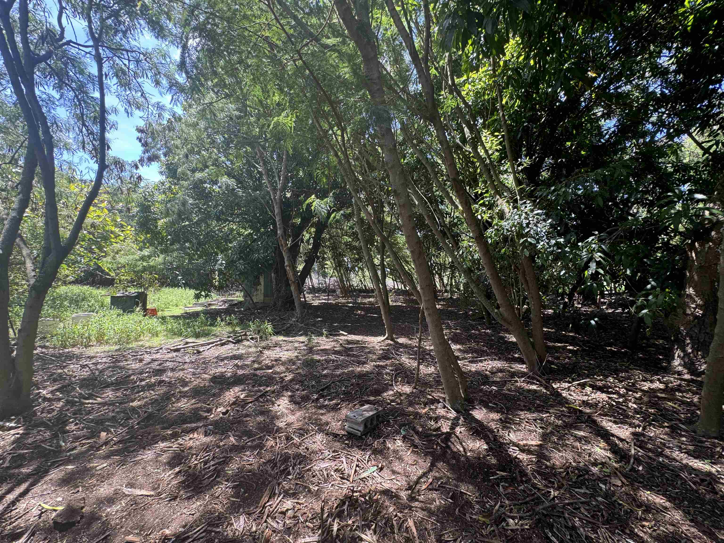 7308  Kamehameha V Hwy Ualapue, Molokai home - photo 8 of 18