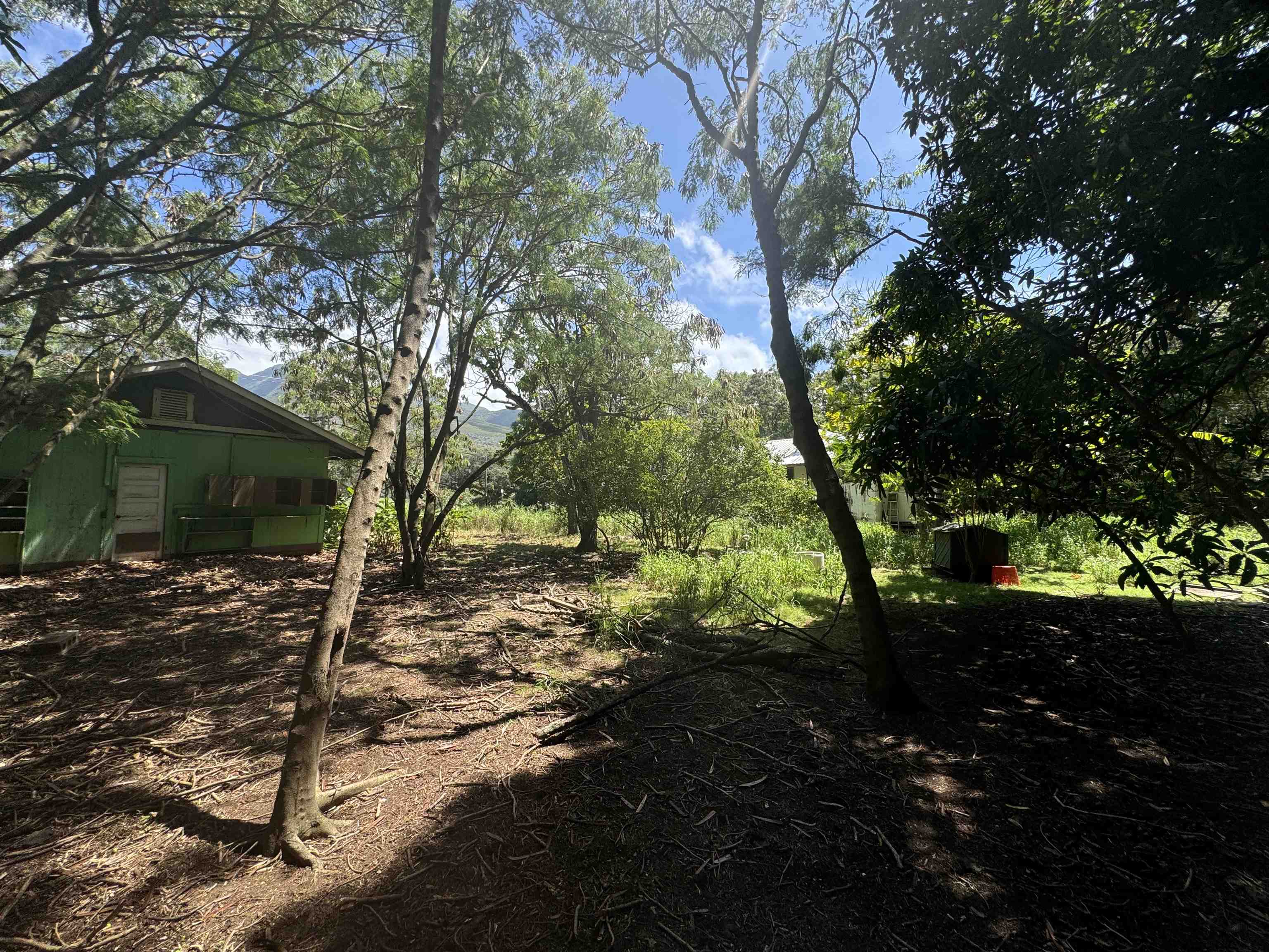 7308  Kamehameha V Hwy Ualapue, Molokai home - photo 10 of 18