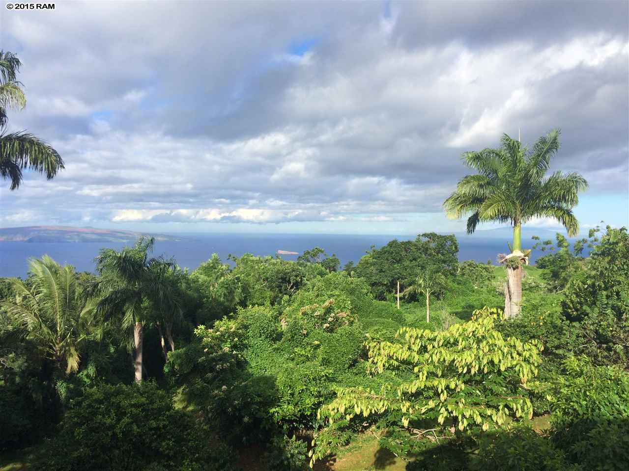 736 Kanaio Kalama Park Rd , Kula, Hi 96790 Ulupalakua