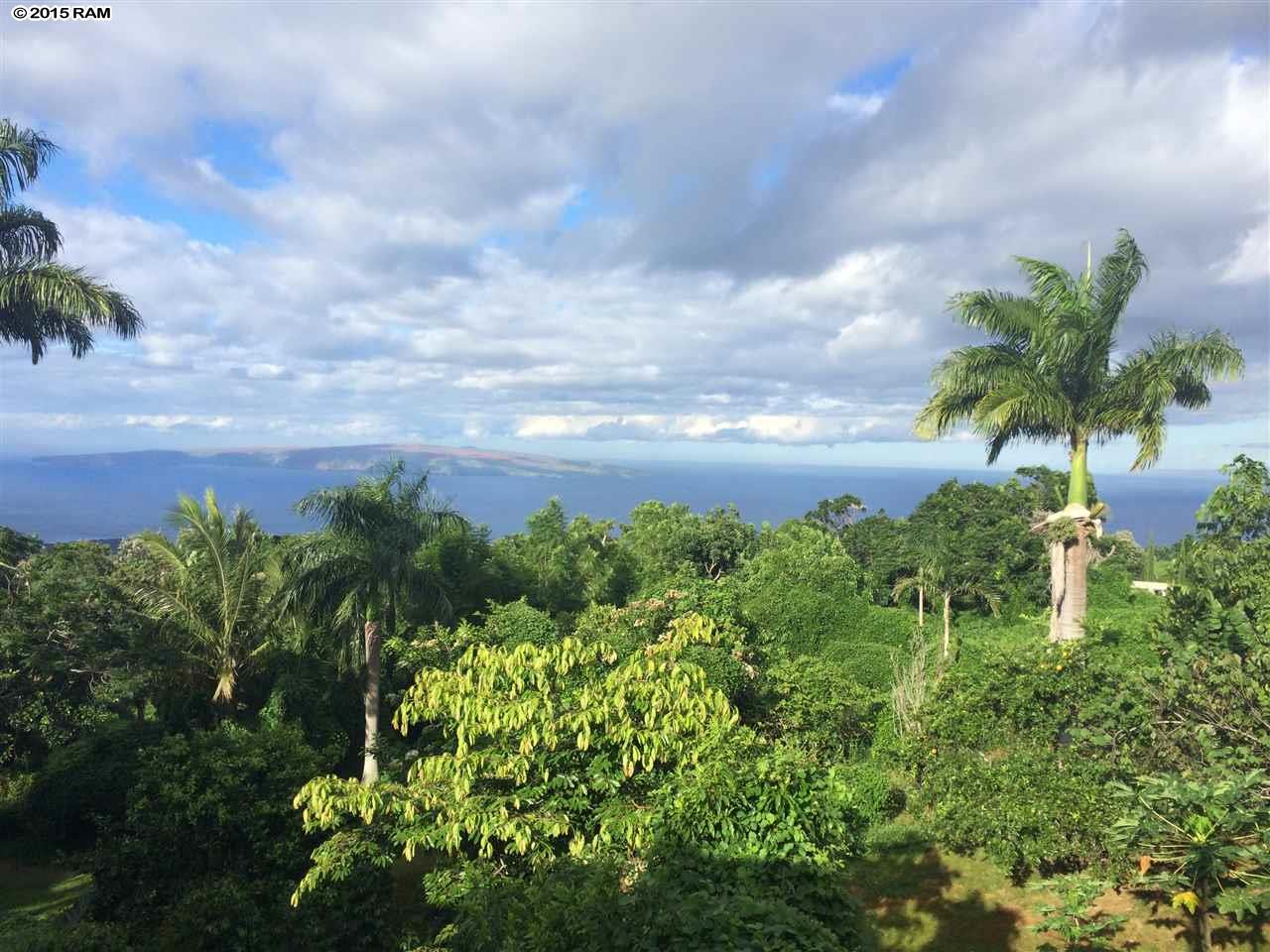 736 Kanaio Kalama Park Rd , Kula, Hi 96790 home Ulupalakua Kula