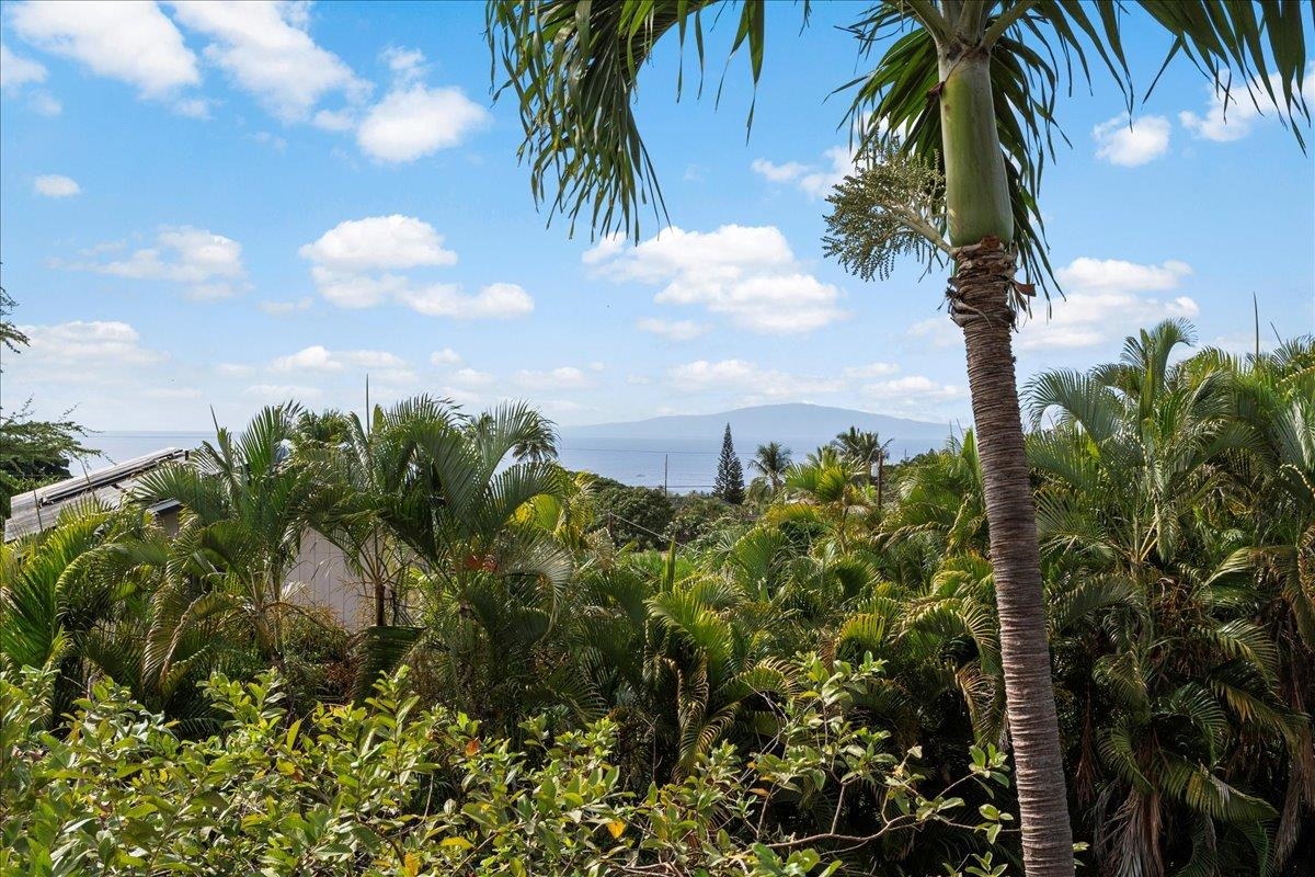 736  Mililani Pl Maui Meadows, Maui Meadows home - photo 43 of 46