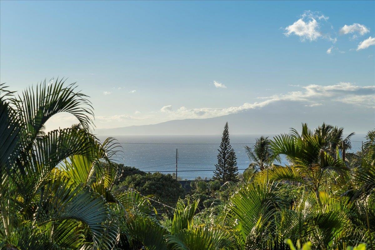 736  Mililani Pl Maui Meadows, Maui Meadows home - photo 46 of 50