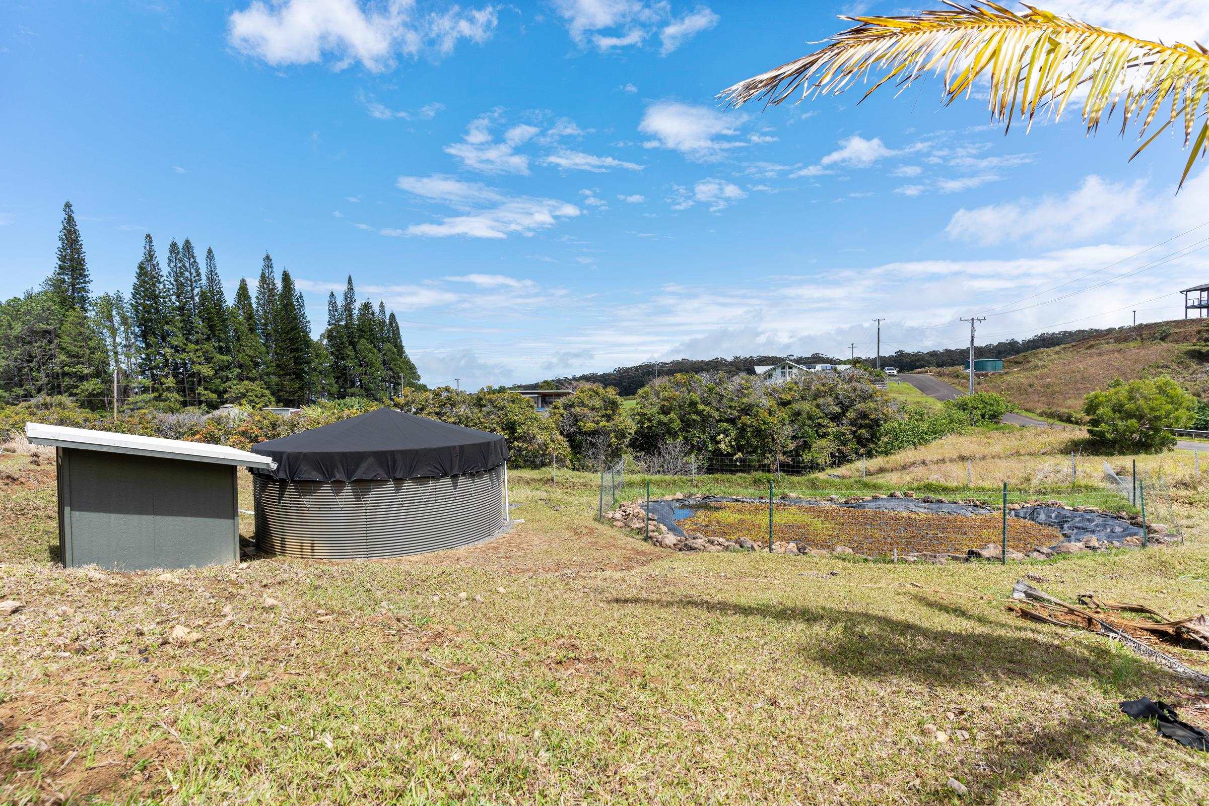 738  Awalau Rd , Haiku home - photo 43 of 45