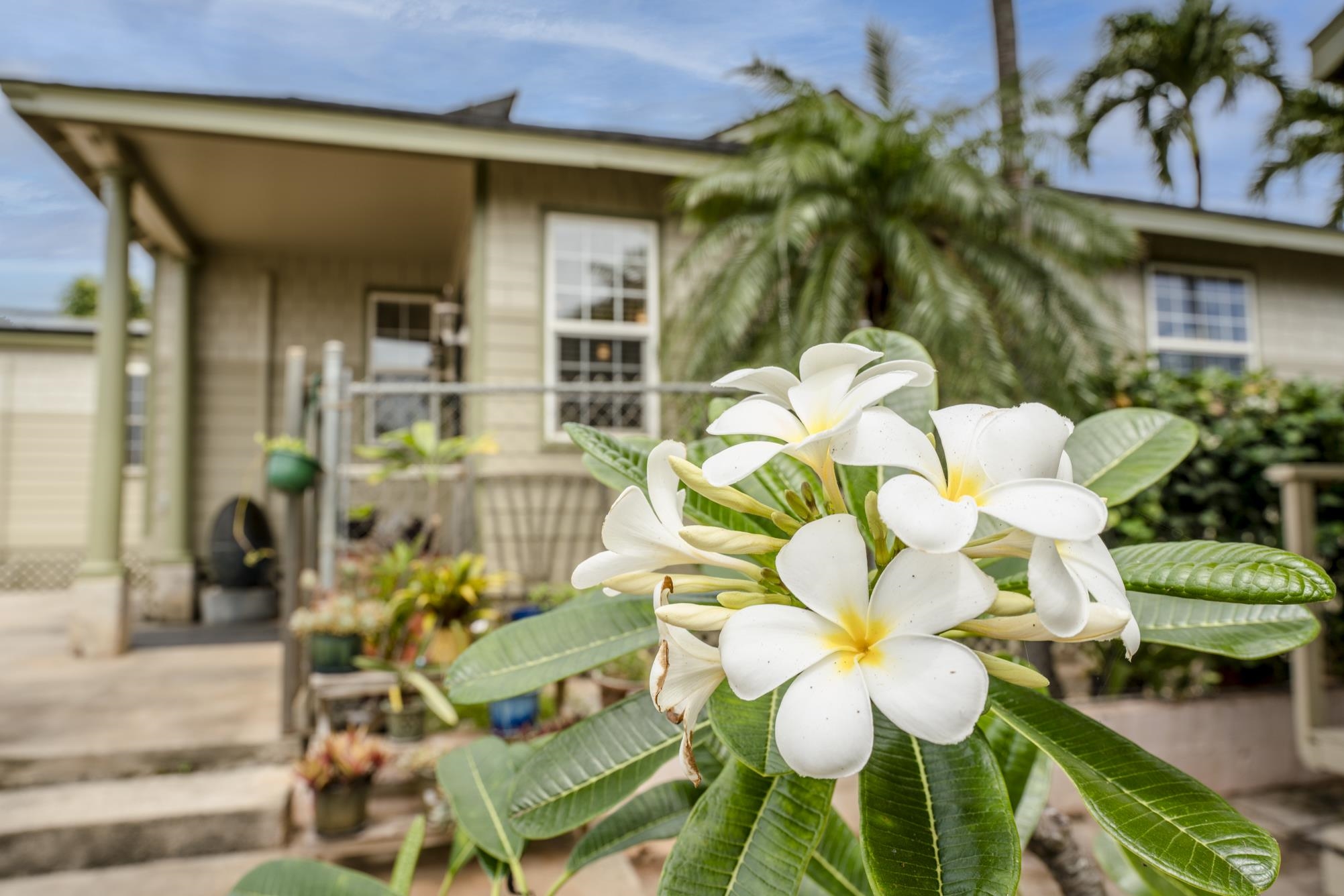 73A  Maluhia Dr Wailuku, Wailuku home - photo 3 of 46