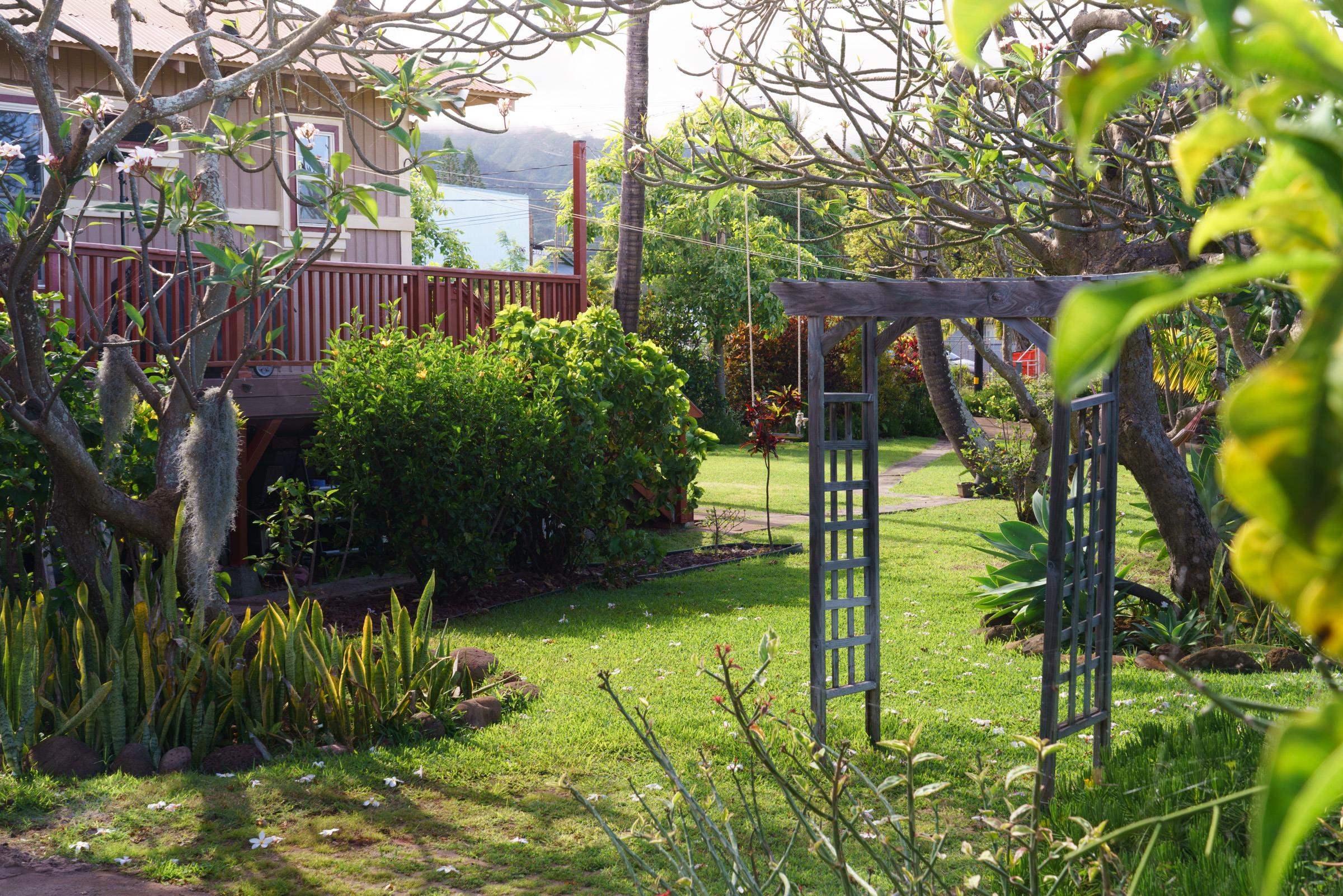 74  Wailani St Wailuku Town, Wailuku home - photo 32 of 38