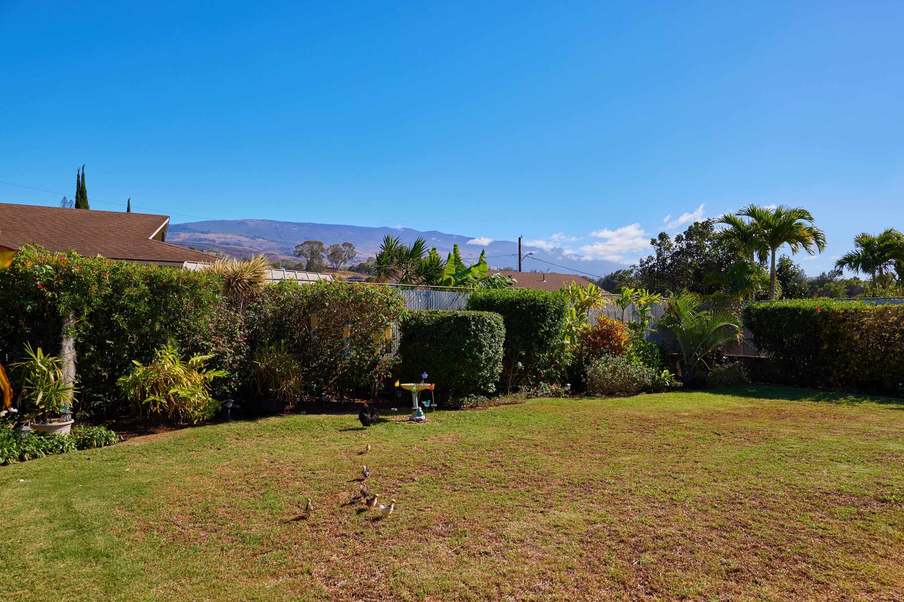 740  Makawao Ave , Makawao/Olinda/Haliimaile home - photo 37 of 39