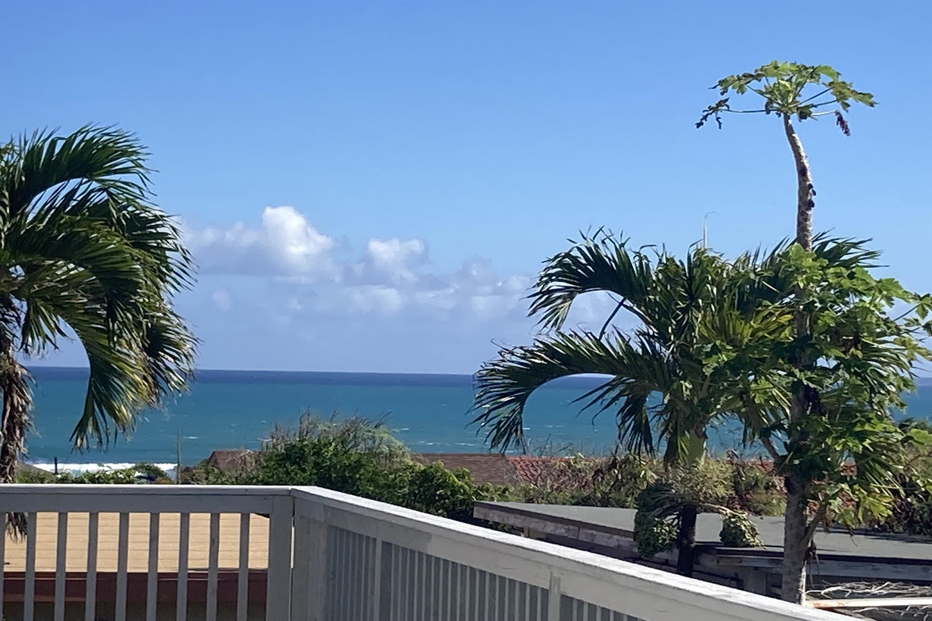 743  Paloma St Waiehu Terrace, Wailuku home - photo 10 of 16