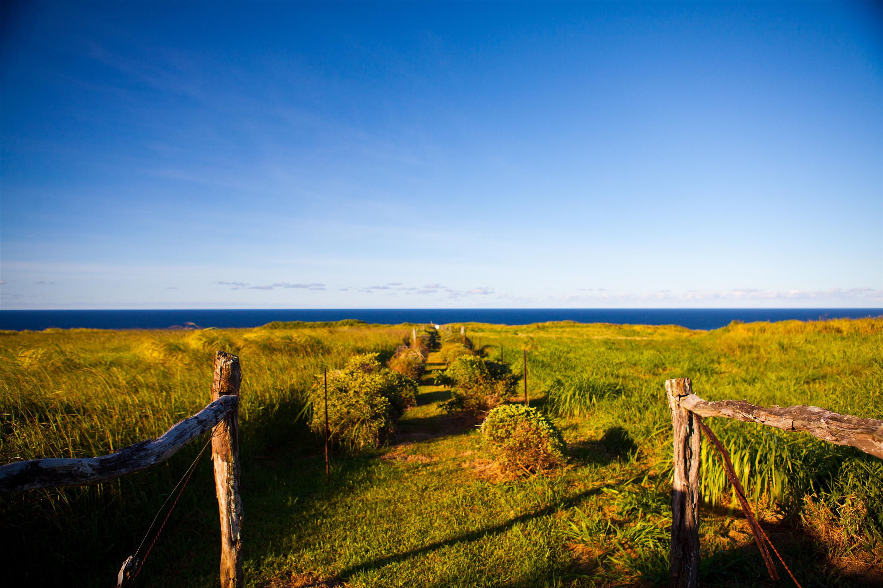 744 Kai Huki Cir Opana Point  - photo 12 of 12