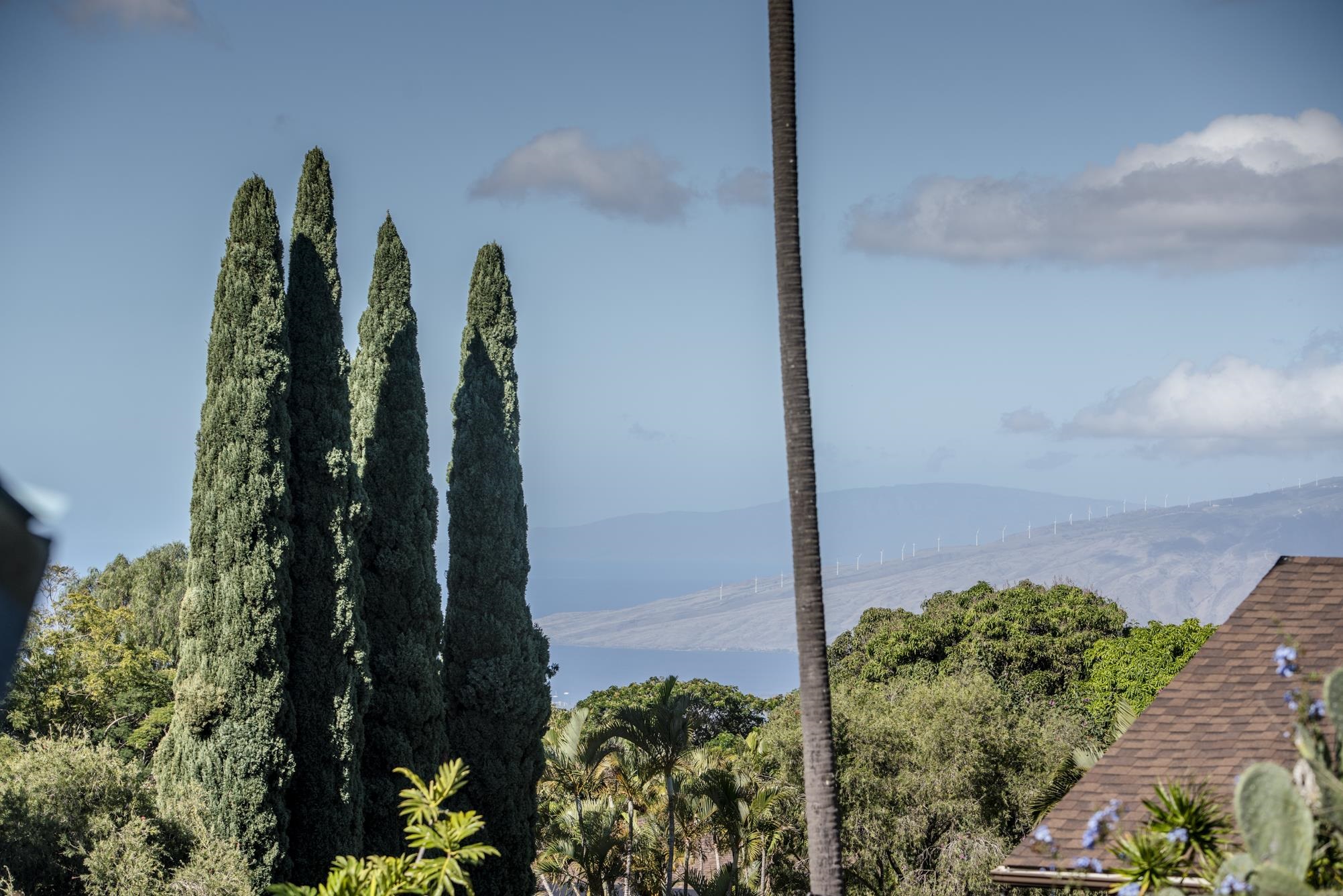 75  Akea Pl Lower Kula, Kula/Ulupalakua/Kanaio home - photo 39 of 43