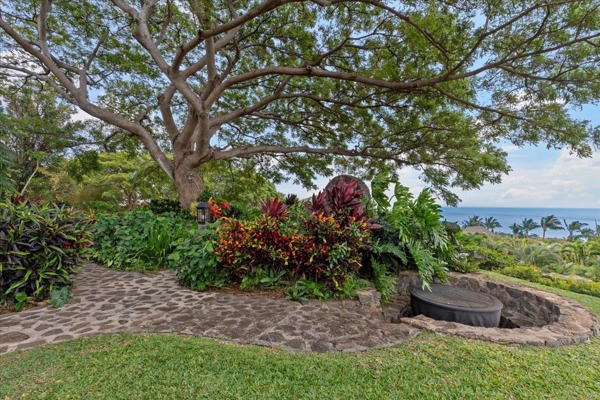 75  Huapala Pl Launiupoko, Lahaina home - photo 47 of 50