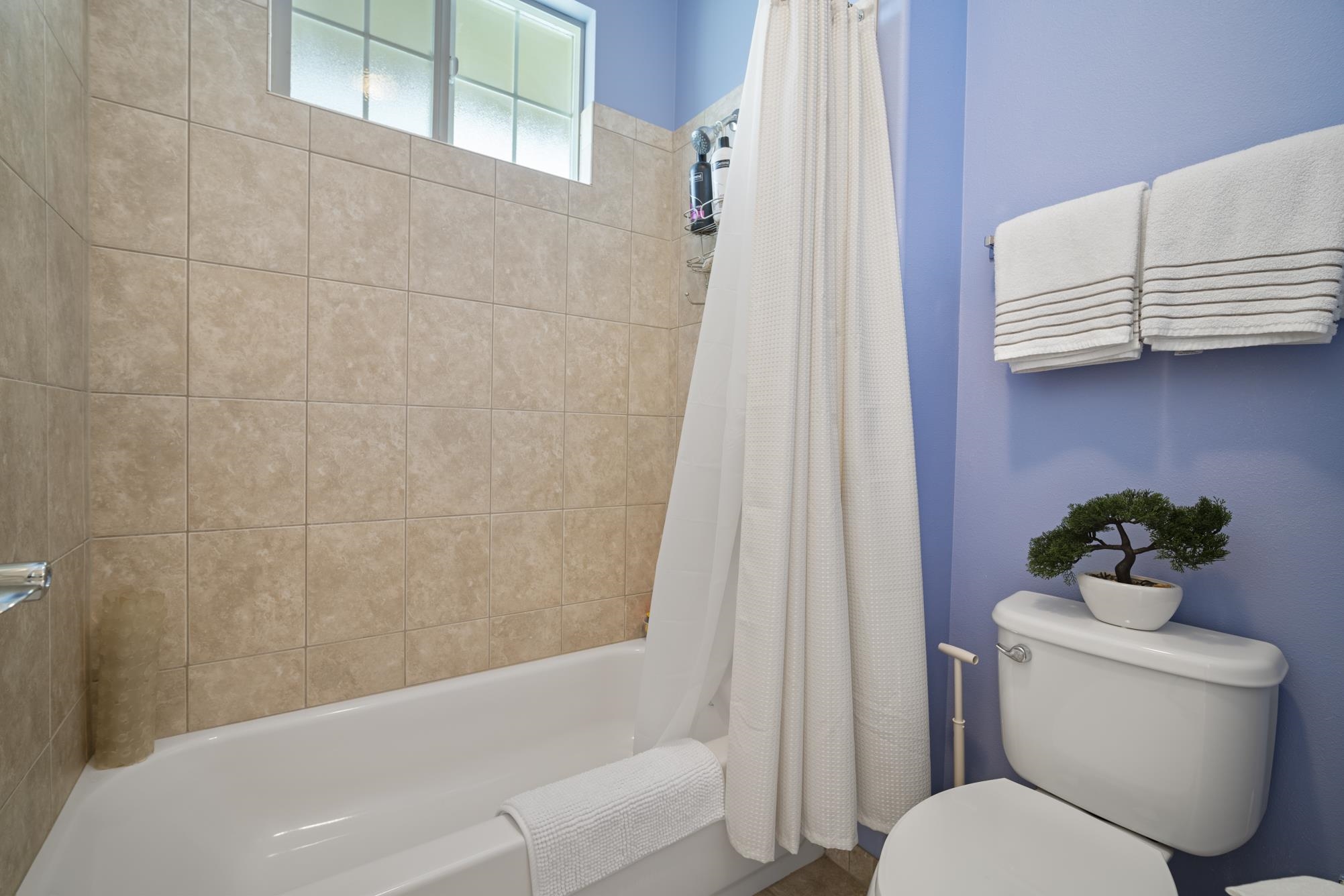 75  Olina St Maui Lani, Kahului home - photo 20 of 44