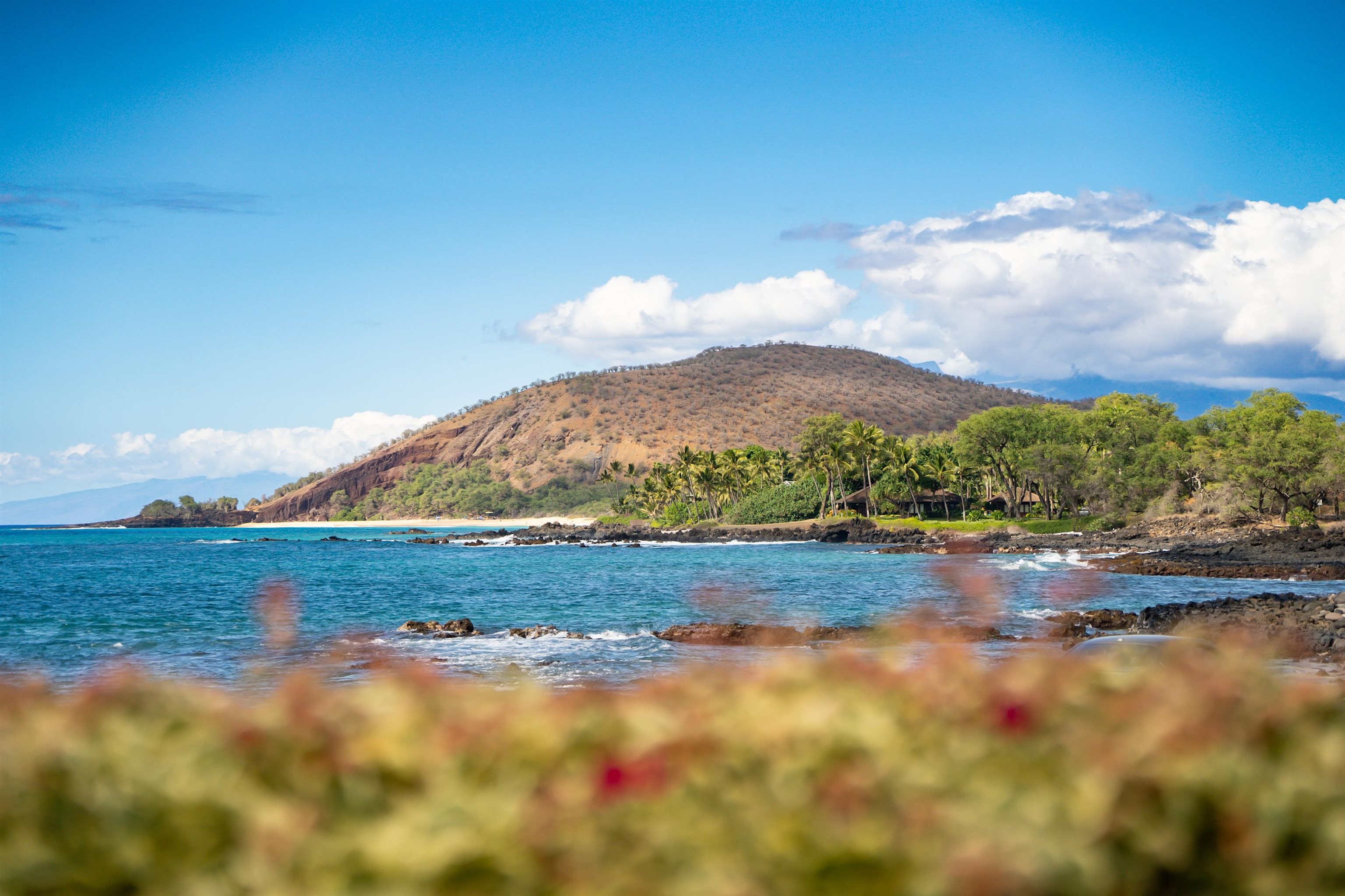 7505  Makena Rd , Wailea/Makena home - photo 49 of 50