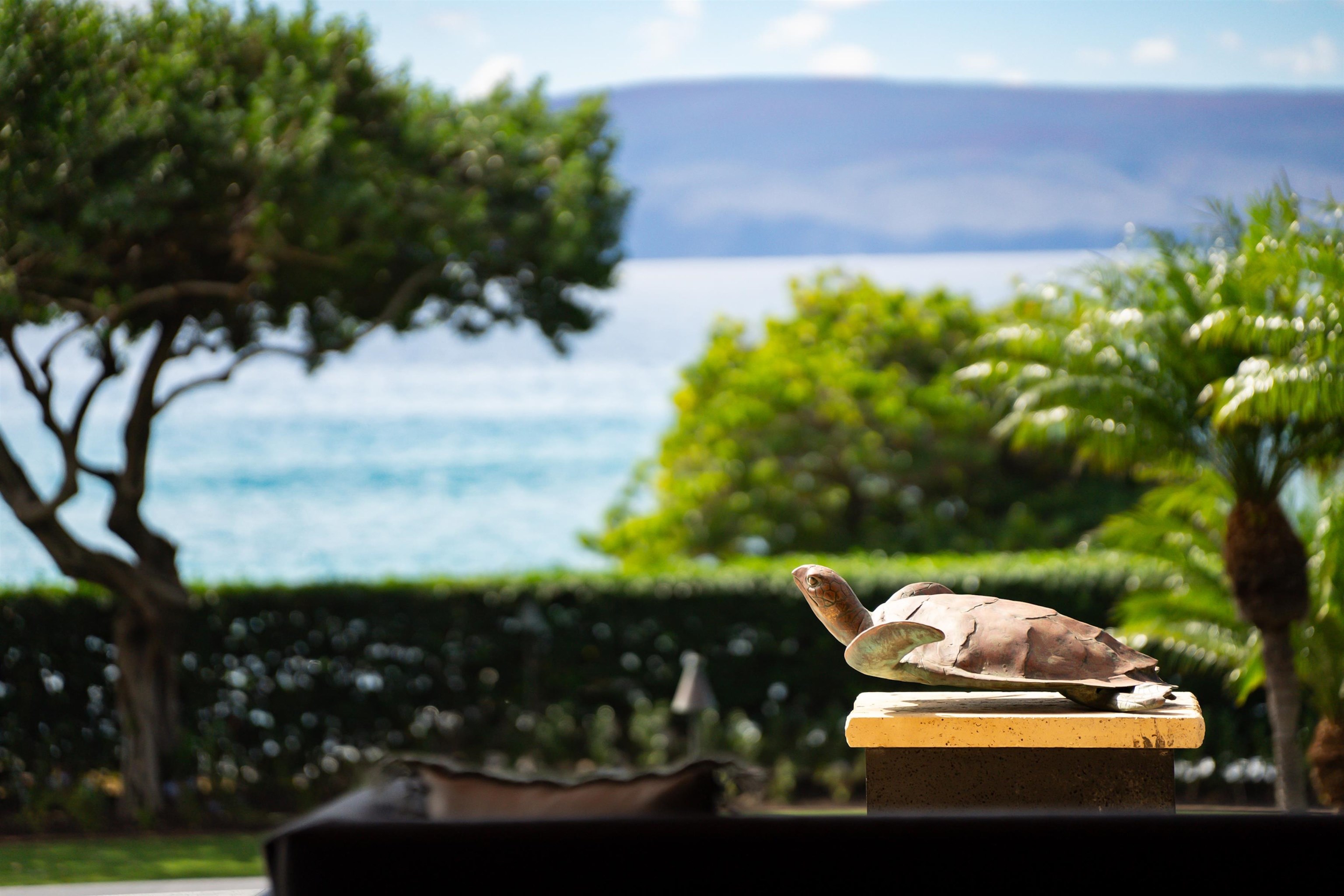 7505  Makena Rd , Wailea/Makena home - photo 22 of 50