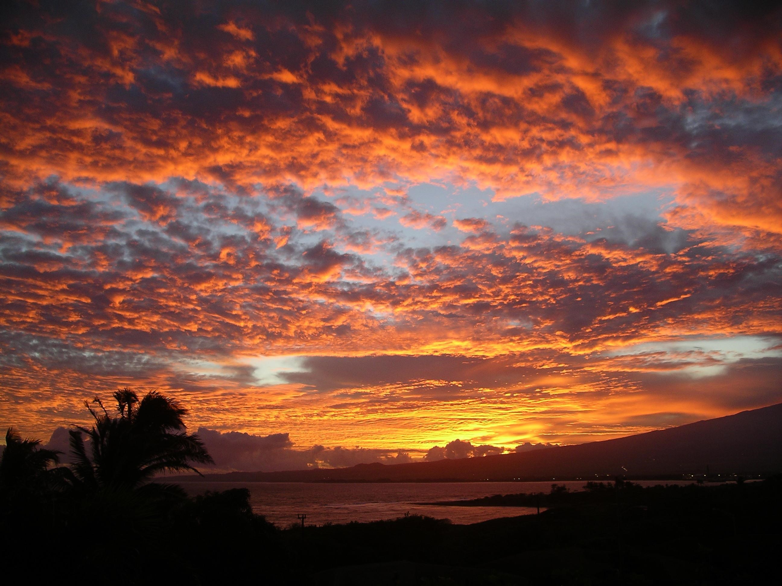 755  Analio St Waiehu Hts, Wailuku home - photo 49 of 50