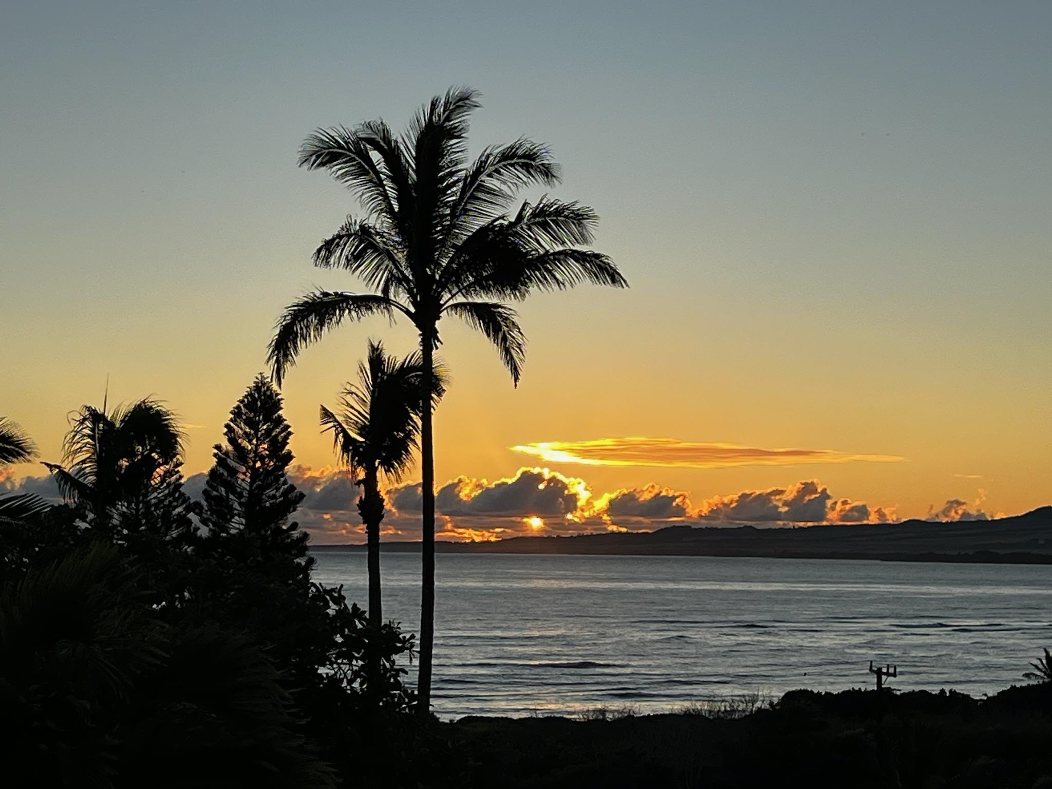 755  Analio St Waiehu Hts, Wailuku home - photo 50 of 50