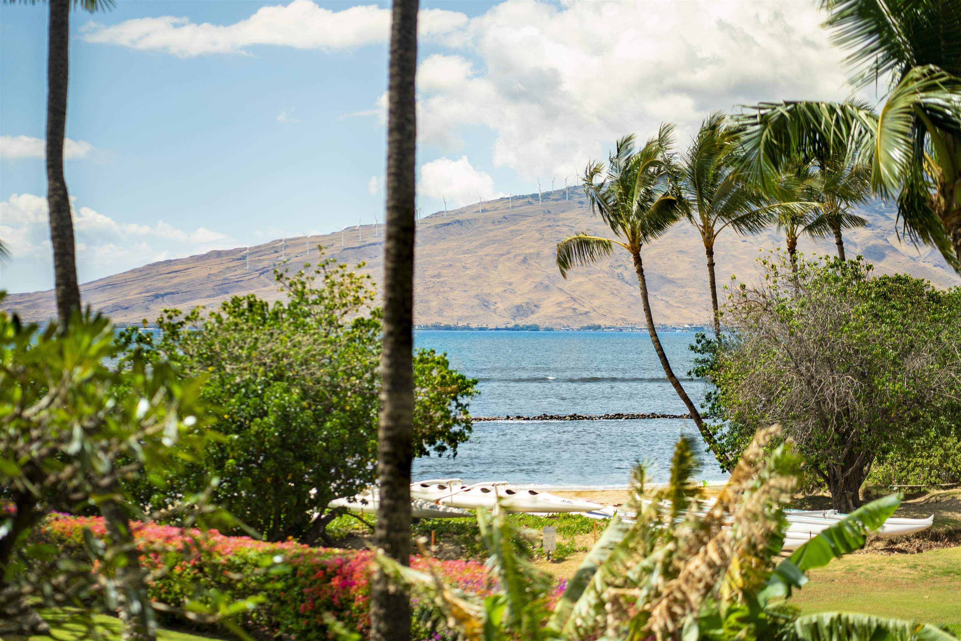 Menehune Shores condo # 202, Kihei, Hawaii - photo 24 of 31