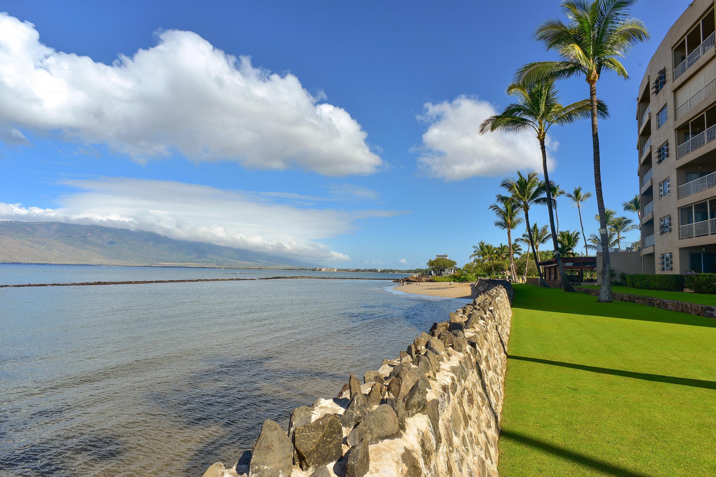 Menehune Shores condo # 217, Kihei, Hawaii - photo 41 of 47