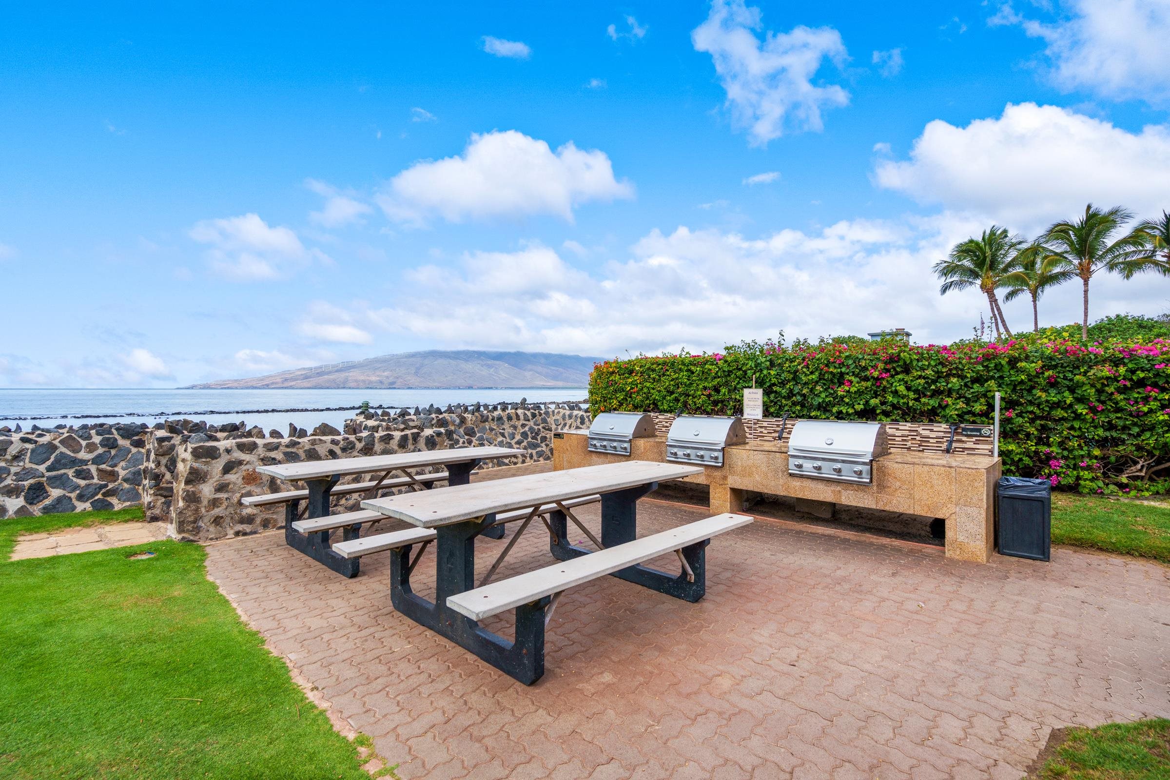 Menehune Shores condo # 217, Kihei, Hawaii - photo 42 of 47