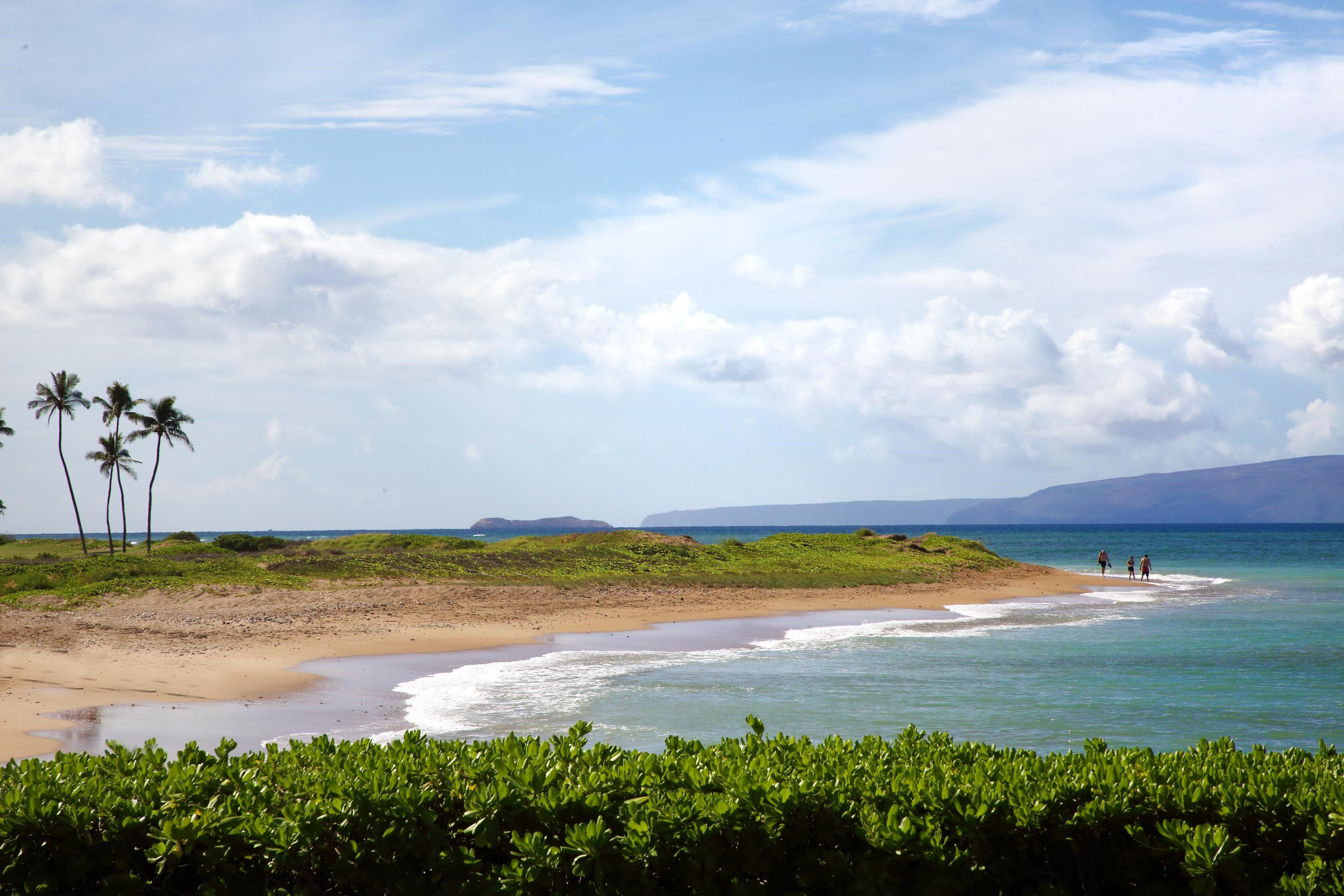 Menehune Shores condo # 218, Kihei, Hawaii - photo 26 of 26