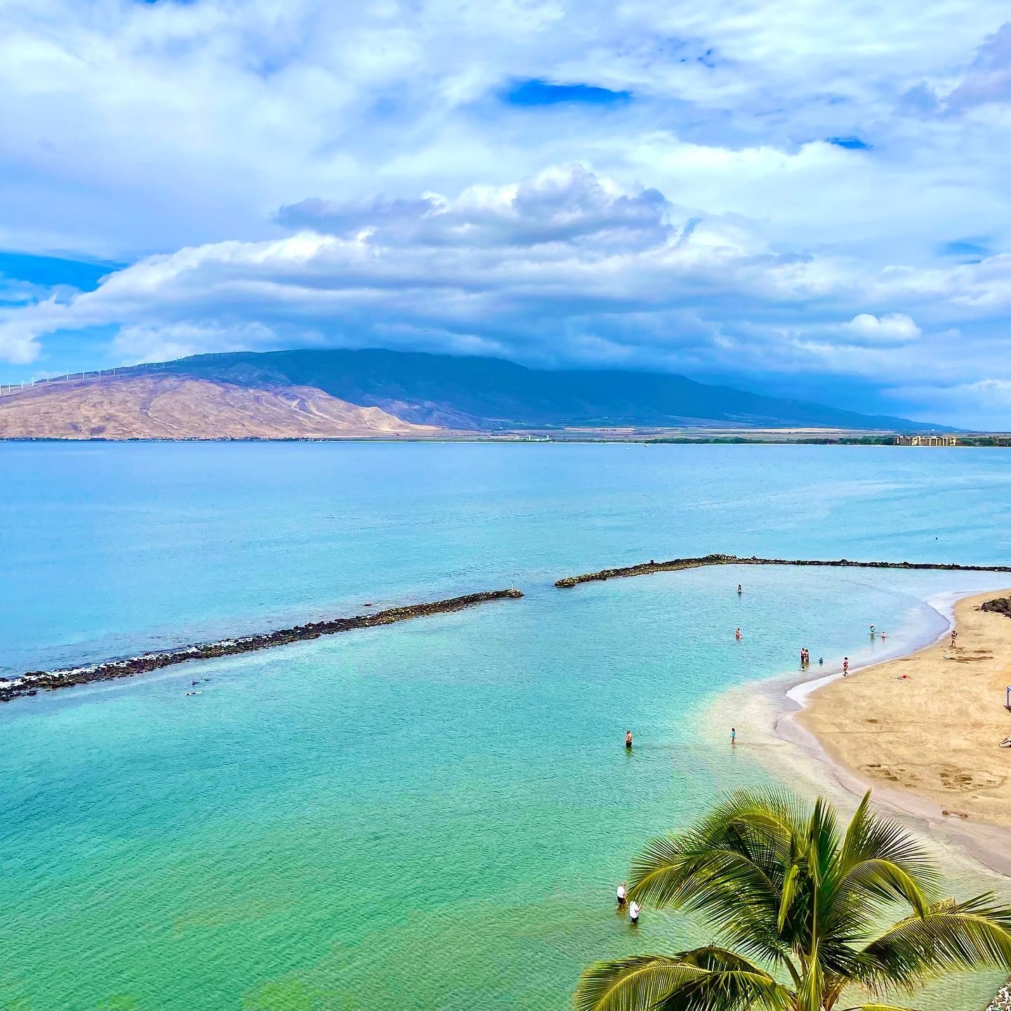 Menehune Shores condo # 304, Kihei, Hawaii - photo 36 of 45