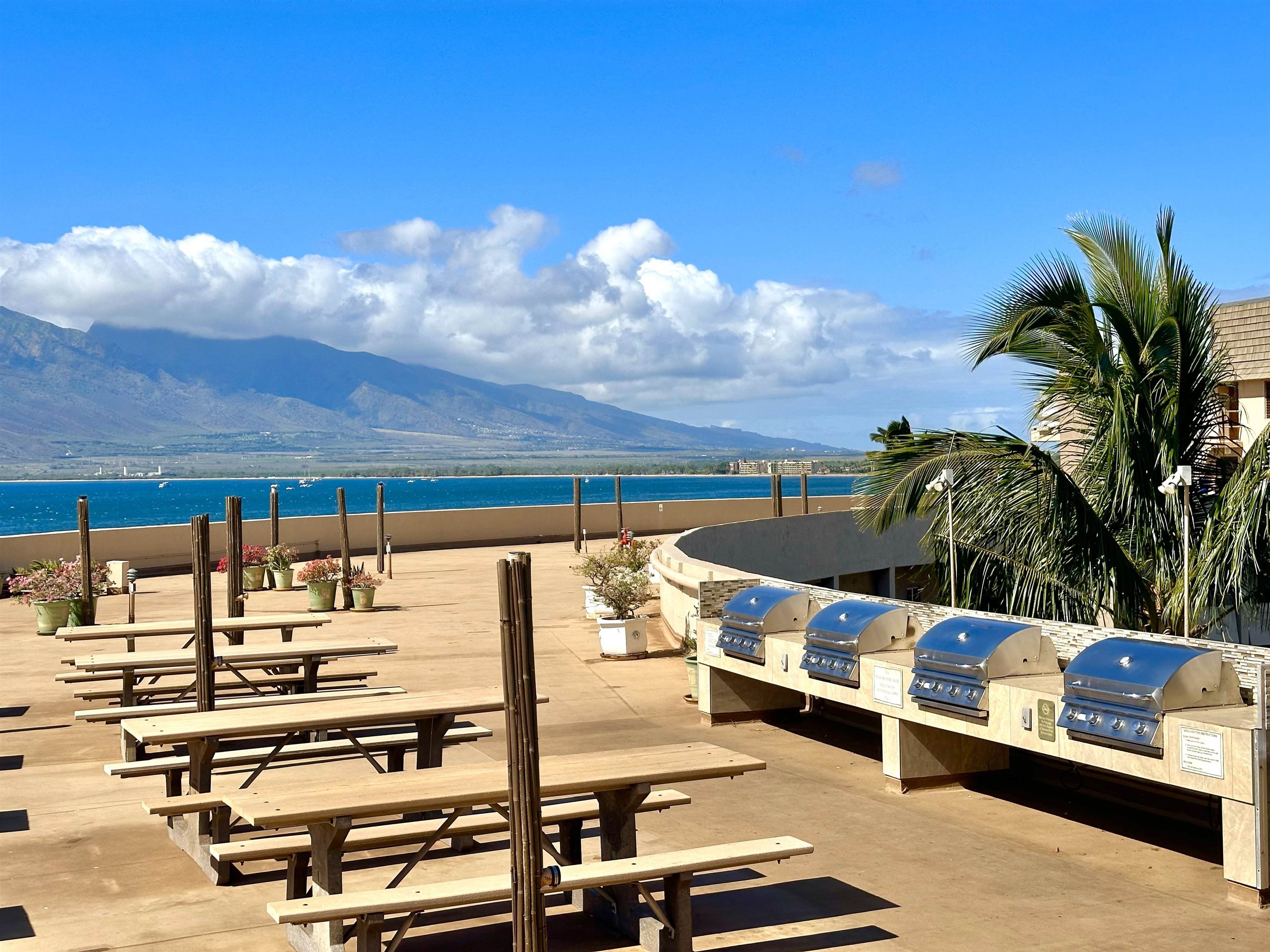 Menehune Shores condo # 304, Kihei, Hawaii - photo 36 of 45