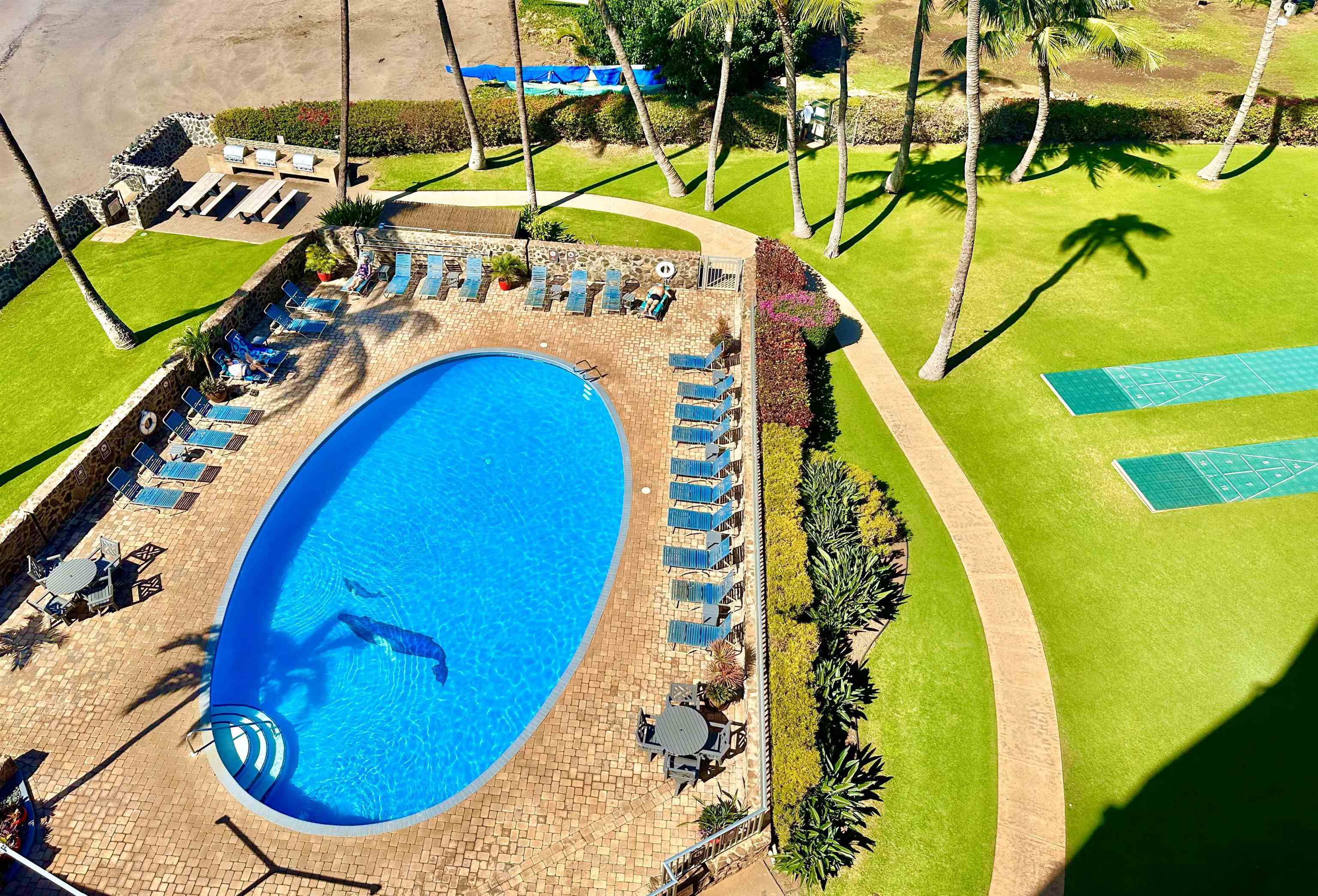 Menehune Shores condo # 304, Kihei, Hawaii - photo 41 of 45