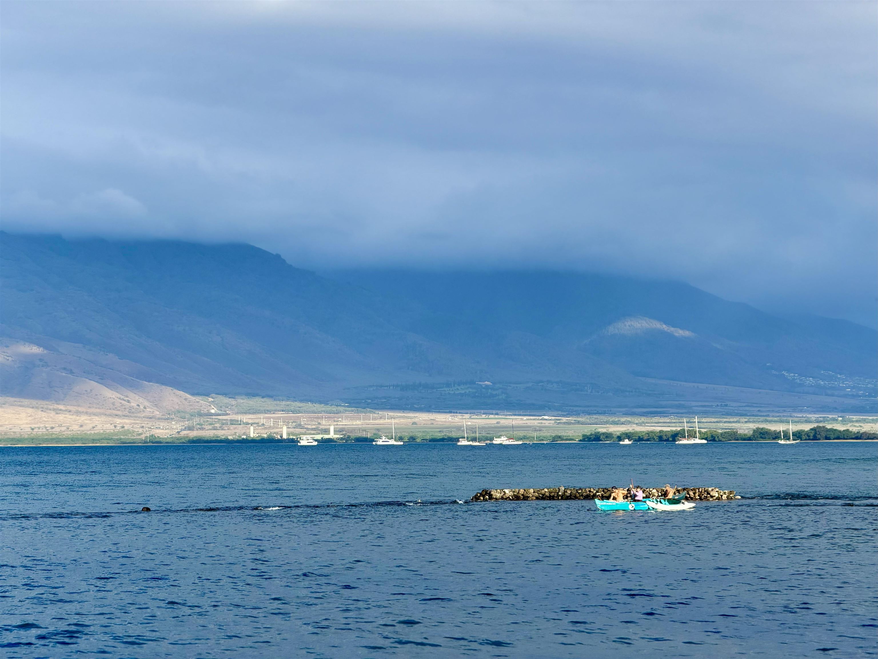 Menehune Shores condo # 304, Kihei, Hawaii - photo 43 of 45
