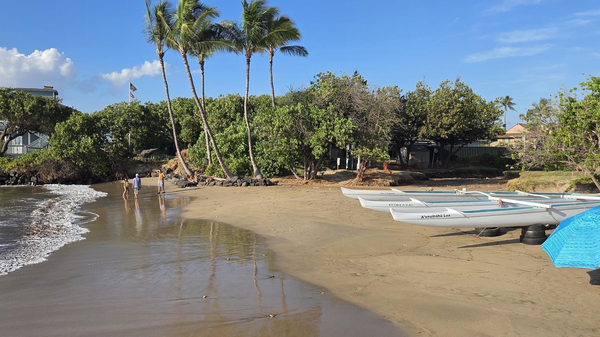 Menehune Shores condo # 310, Kihei, Hawaii - photo 5 of 15
