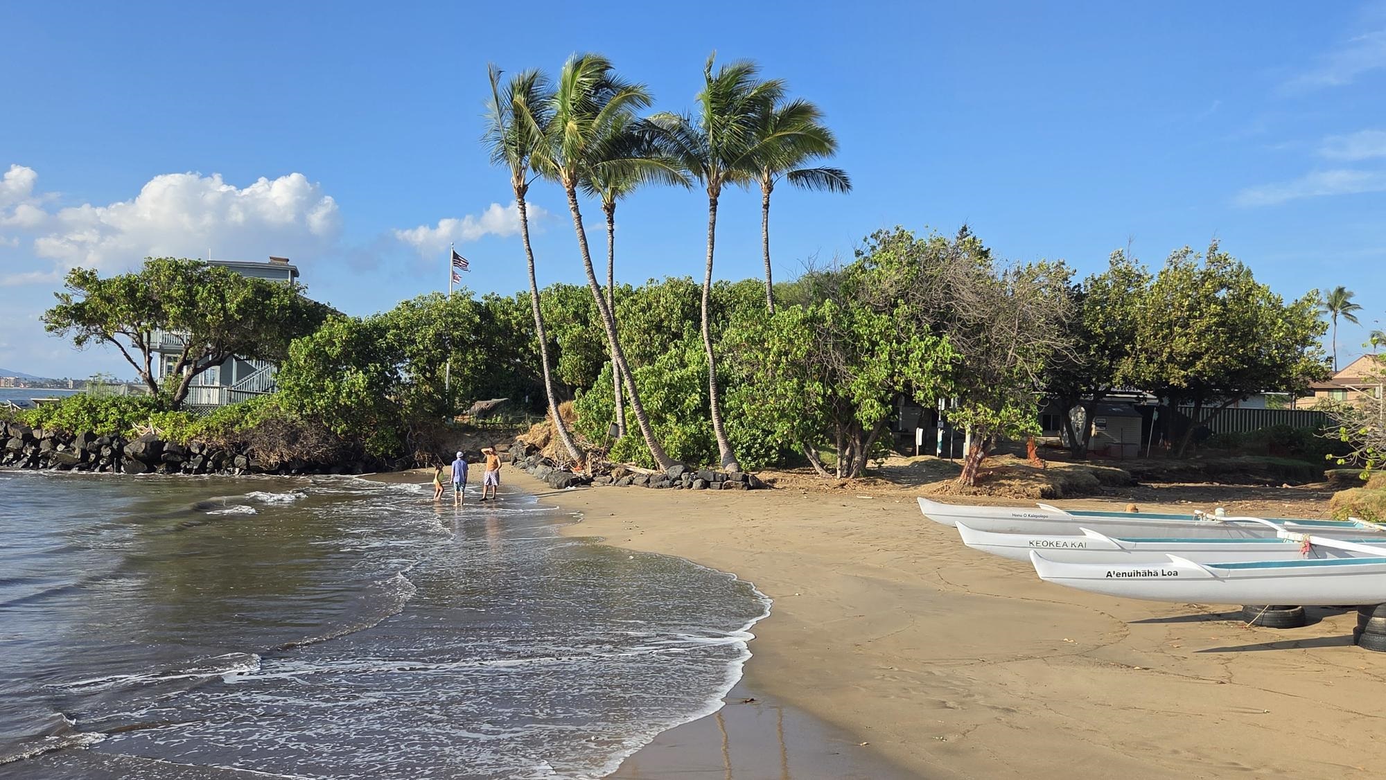 Menehune Shores condo # 310, Kihei, Hawaii - photo 10 of 15
