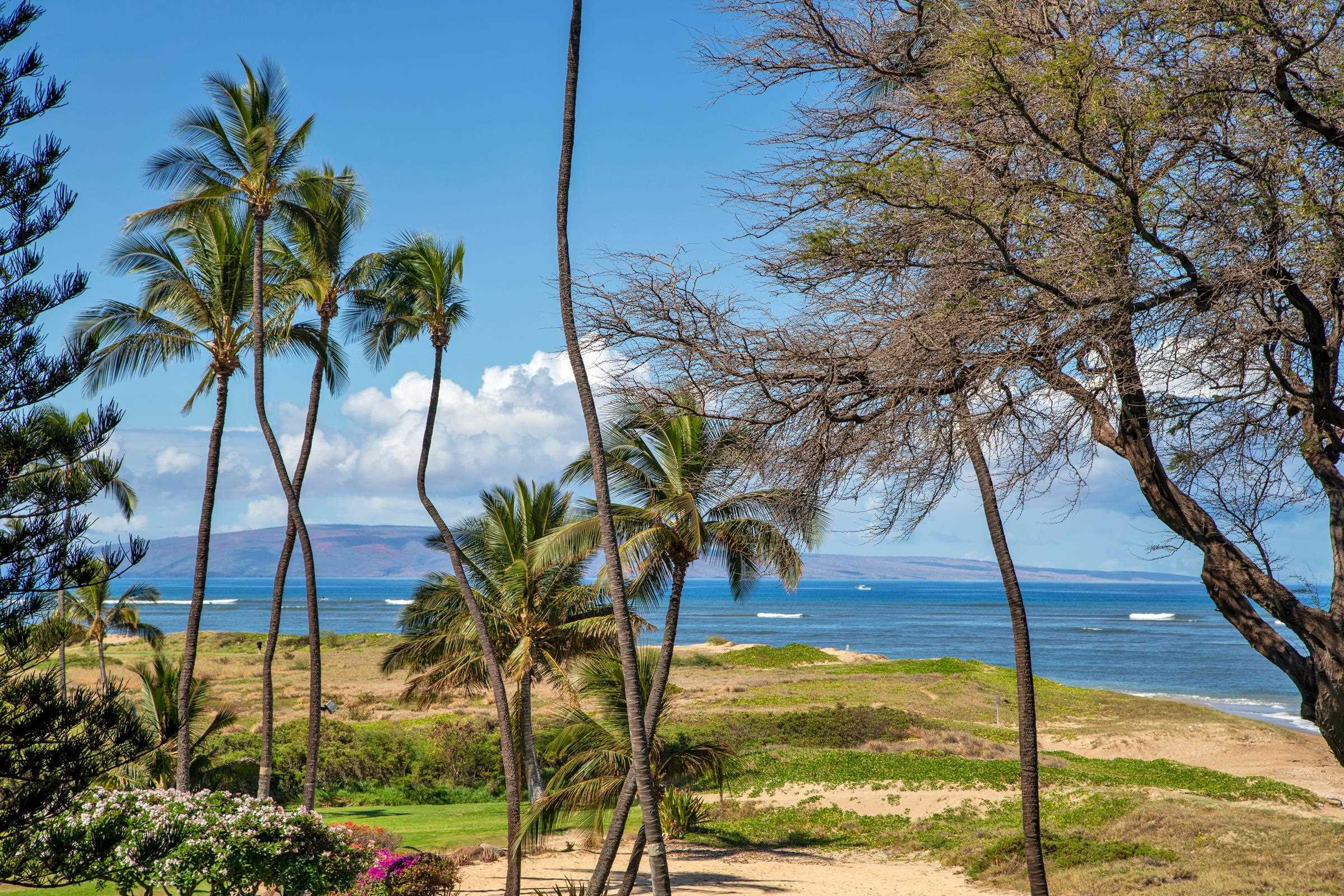 Menehune Shores condo # 325, Kihei, Hawaii - photo 14 of 27