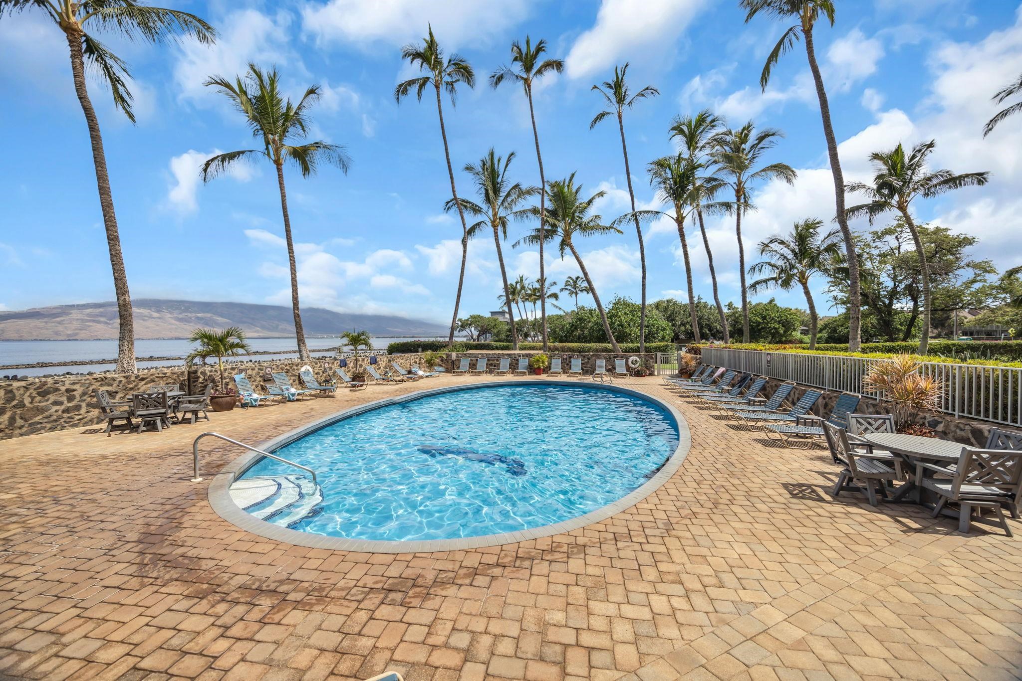 Menehune Shores condo # 427, Kihei, Hawaii - photo 17 of 47