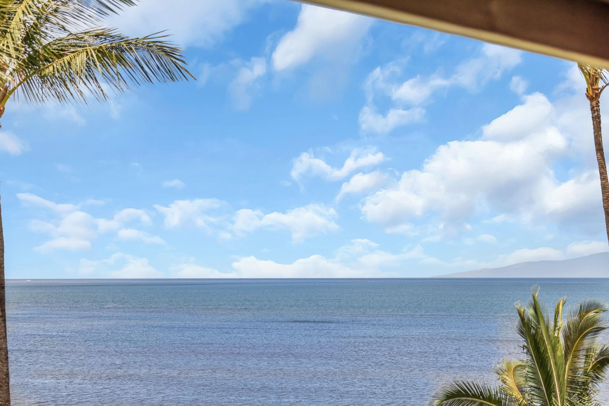 Menehune Shores condo # 427, Kihei, Hawaii - photo 41 of 47