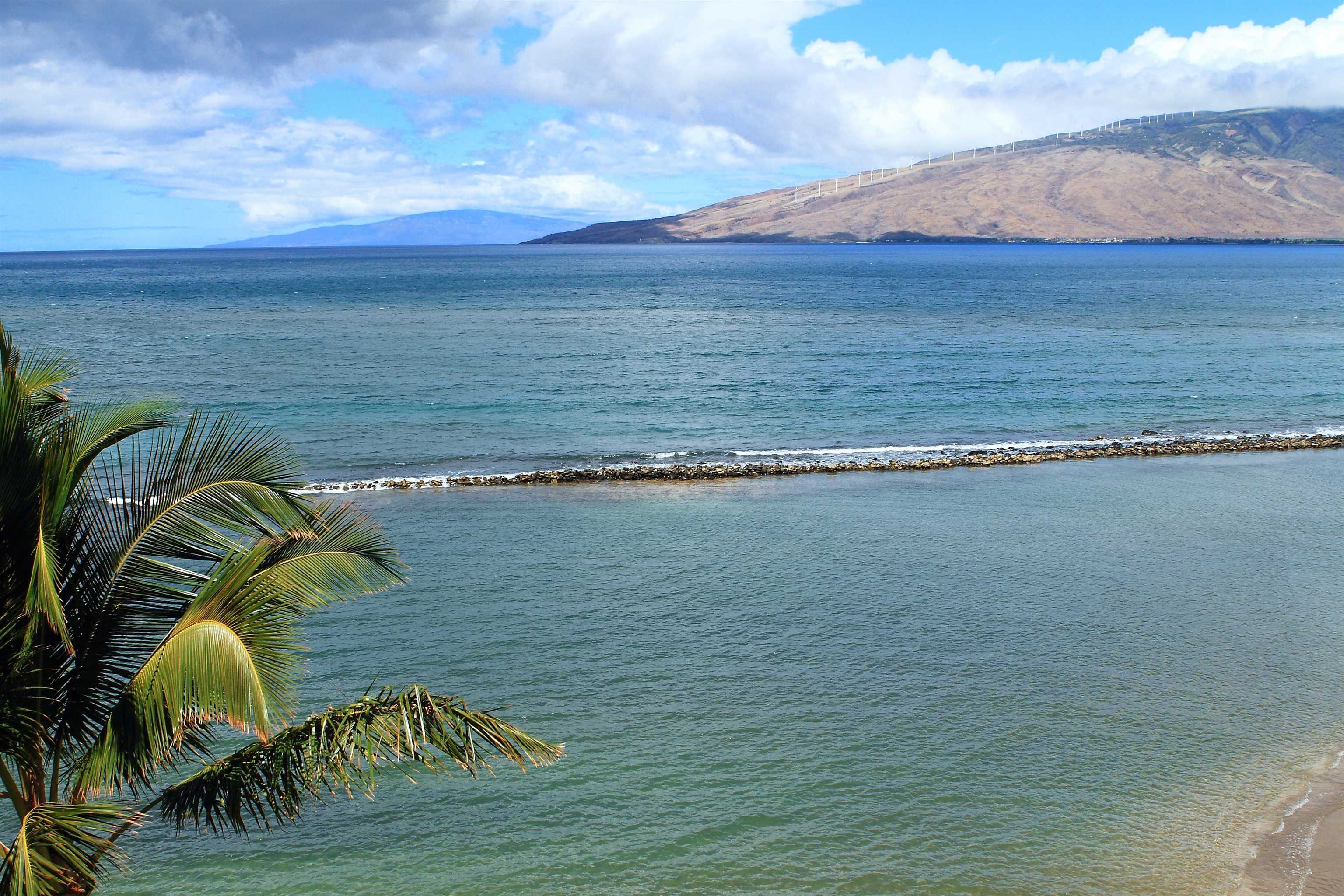 Menehune Shores condo # 510, Kihei, Hawaii - photo 25 of 50