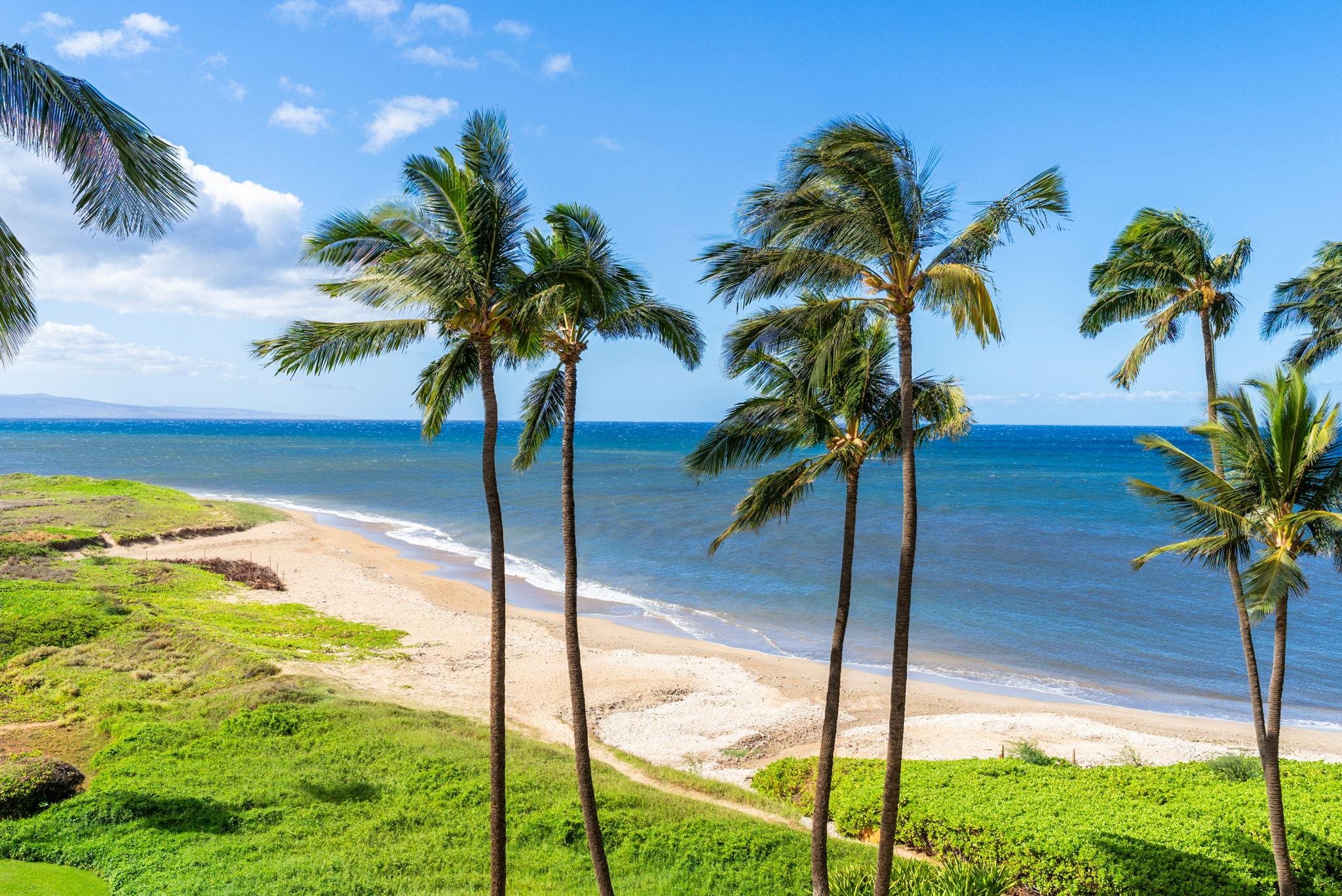 Menehune Shores condo # 522, Kihei, Hawaii - photo 12 of 48