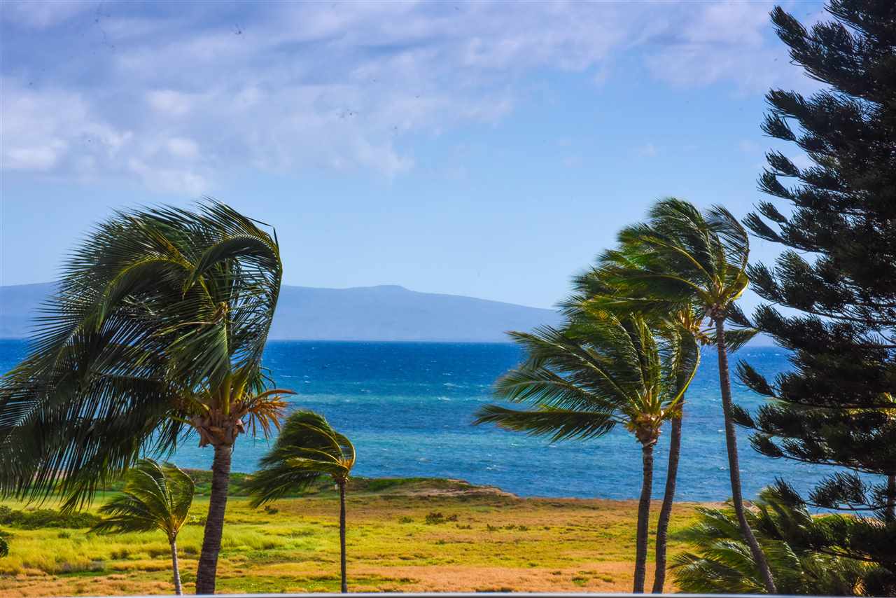 Menehune Shores condo # 627, Kihei, Hawaii - photo 15 of 20