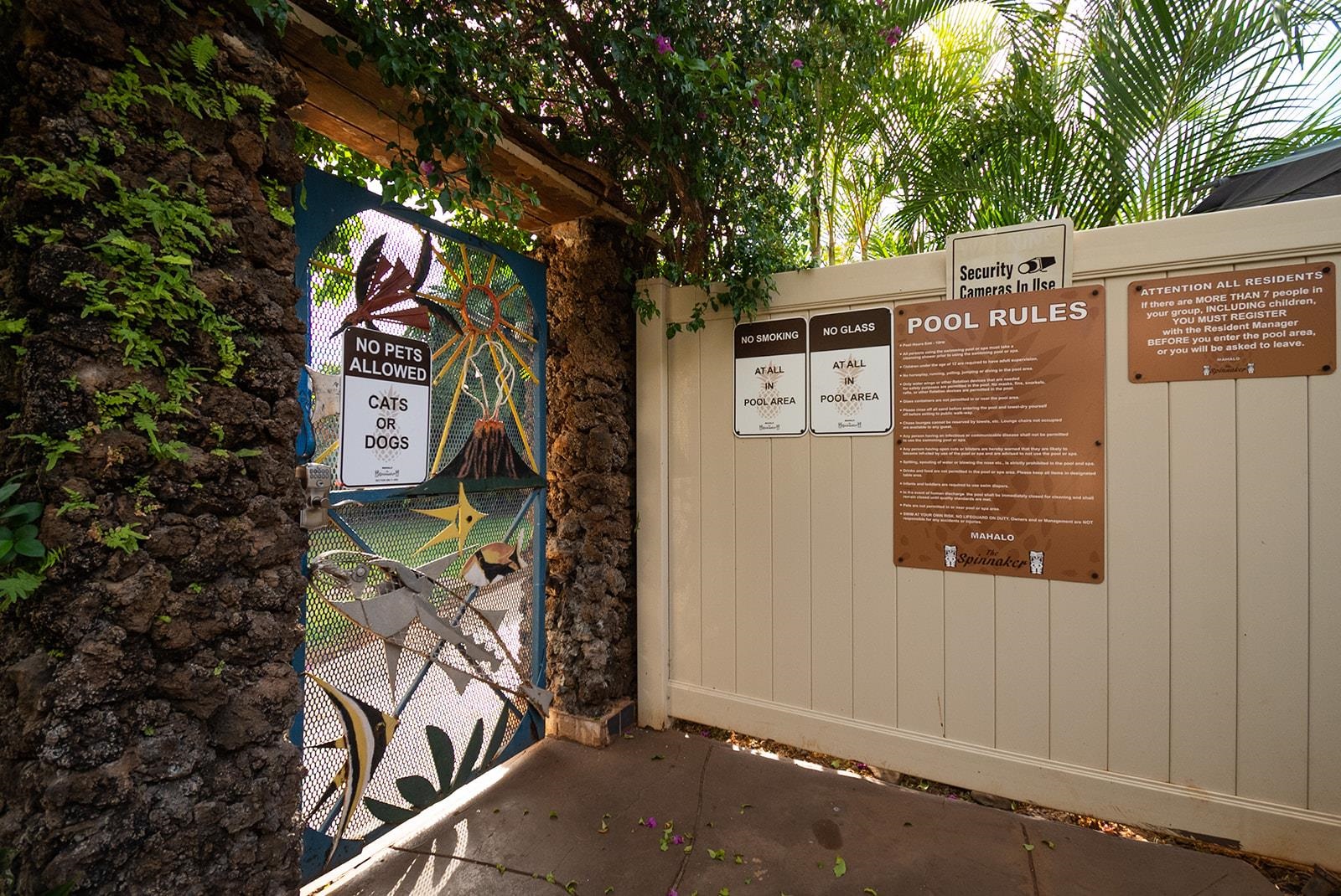 Spinnaker condo # A209, Lahaina, Hawaii - photo 16 of 28