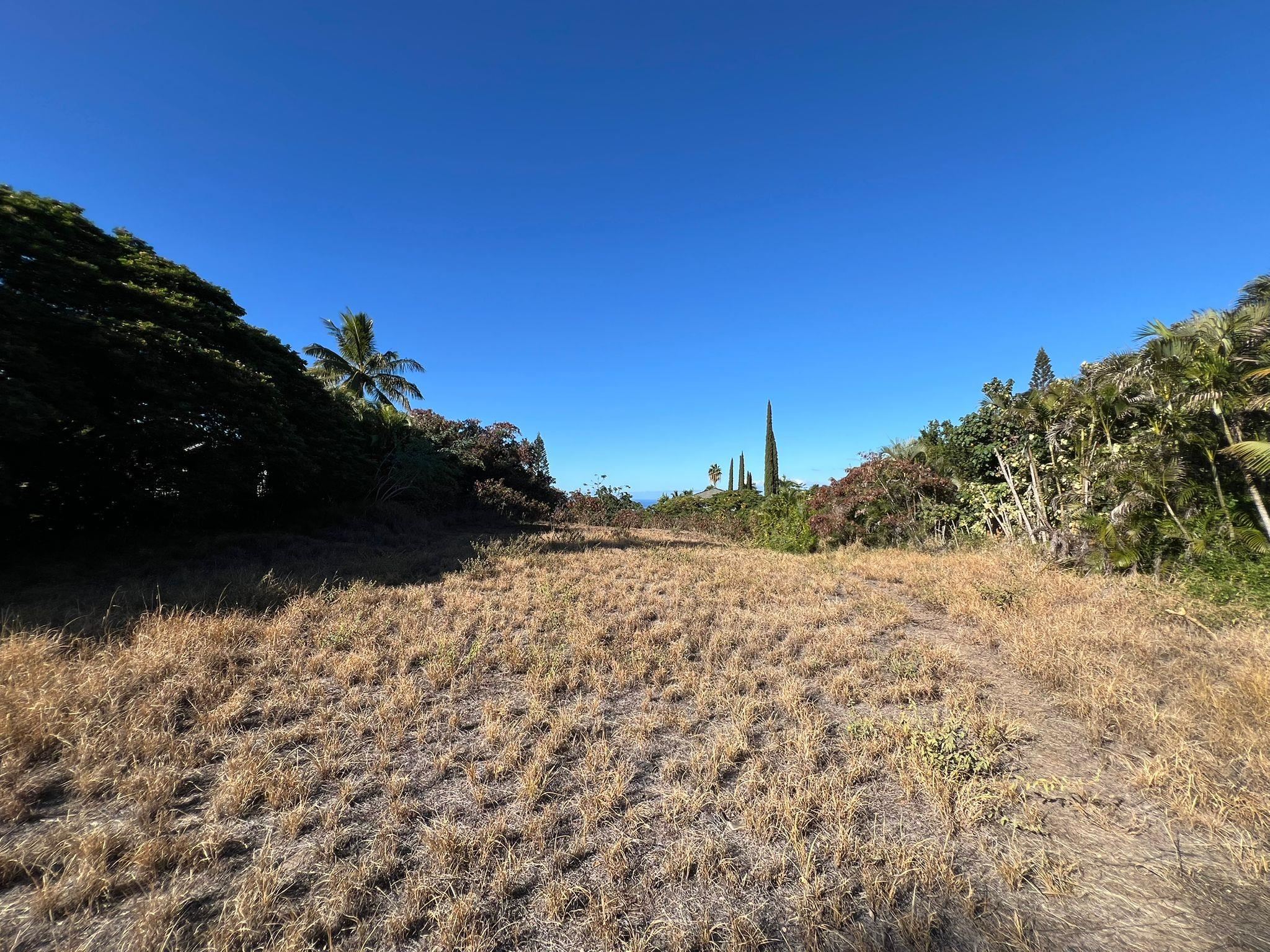 769 Kumulani Dr  Kihei, Hi vacant land for sale - photo 2 of 5