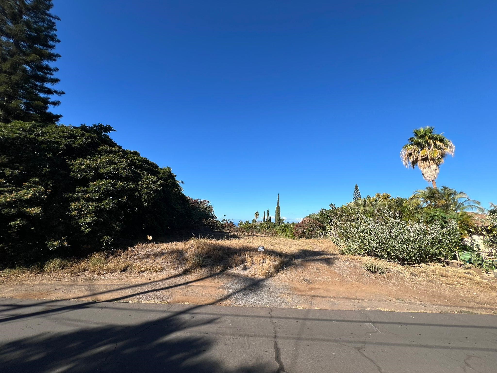 769 Kumulani Dr  Kihei, Hi vacant land for sale - photo 5 of 5